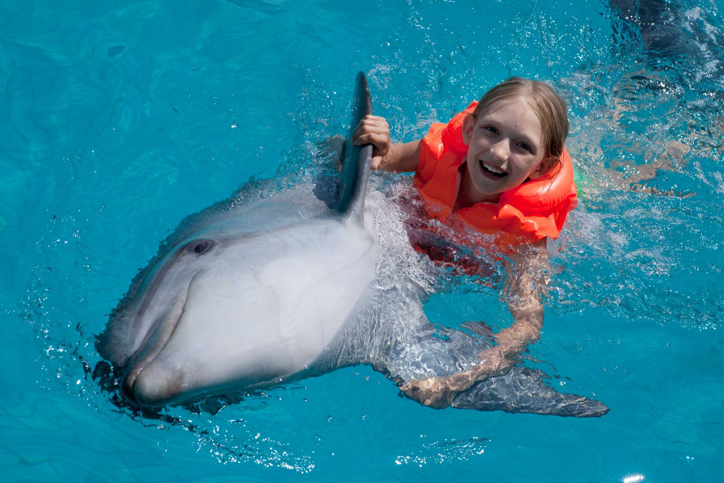 Dolphin Experience Child Transfer – photo 2 of 3