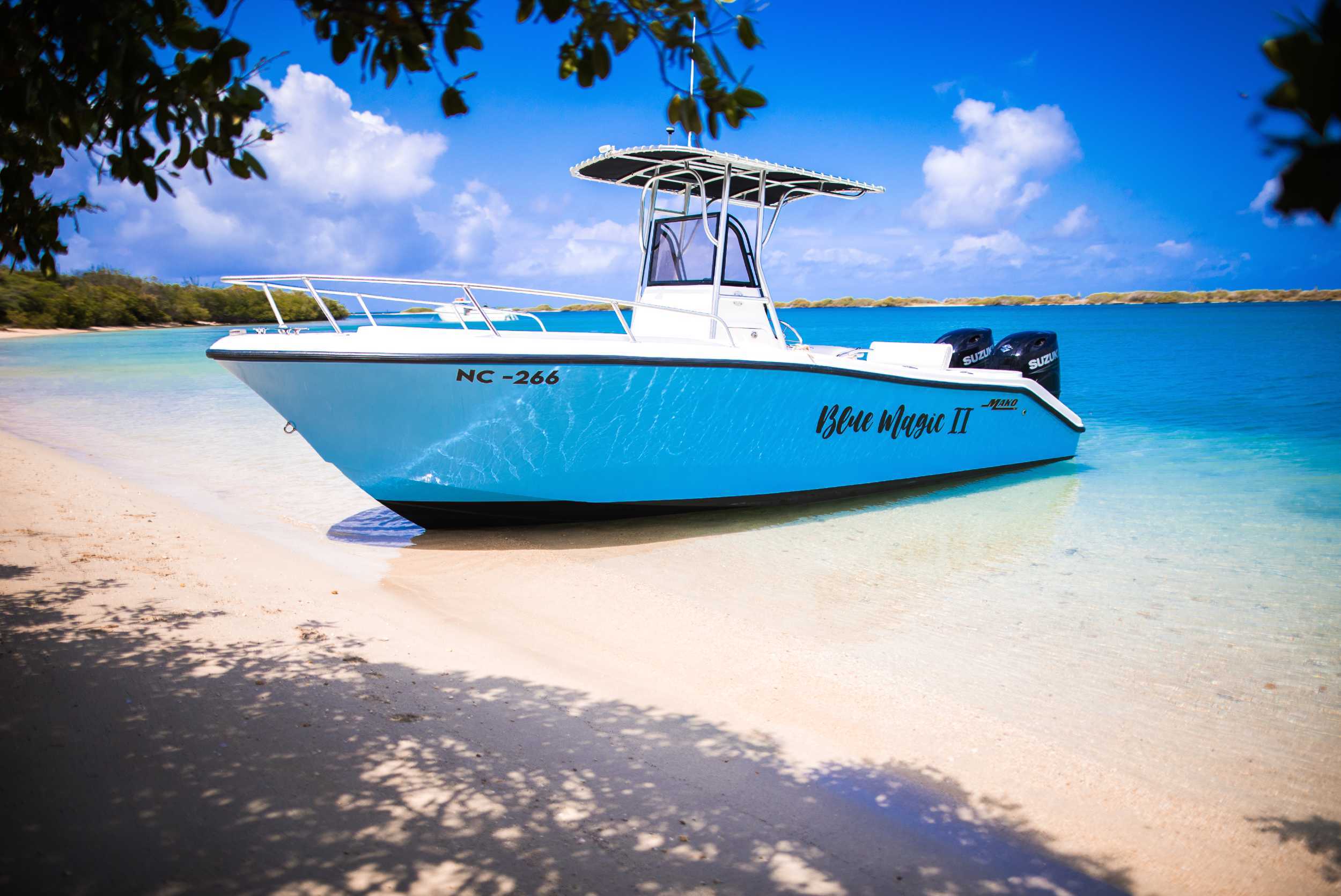 Private Tugboat Snorkel & Beach Experience – photo 1 of 6