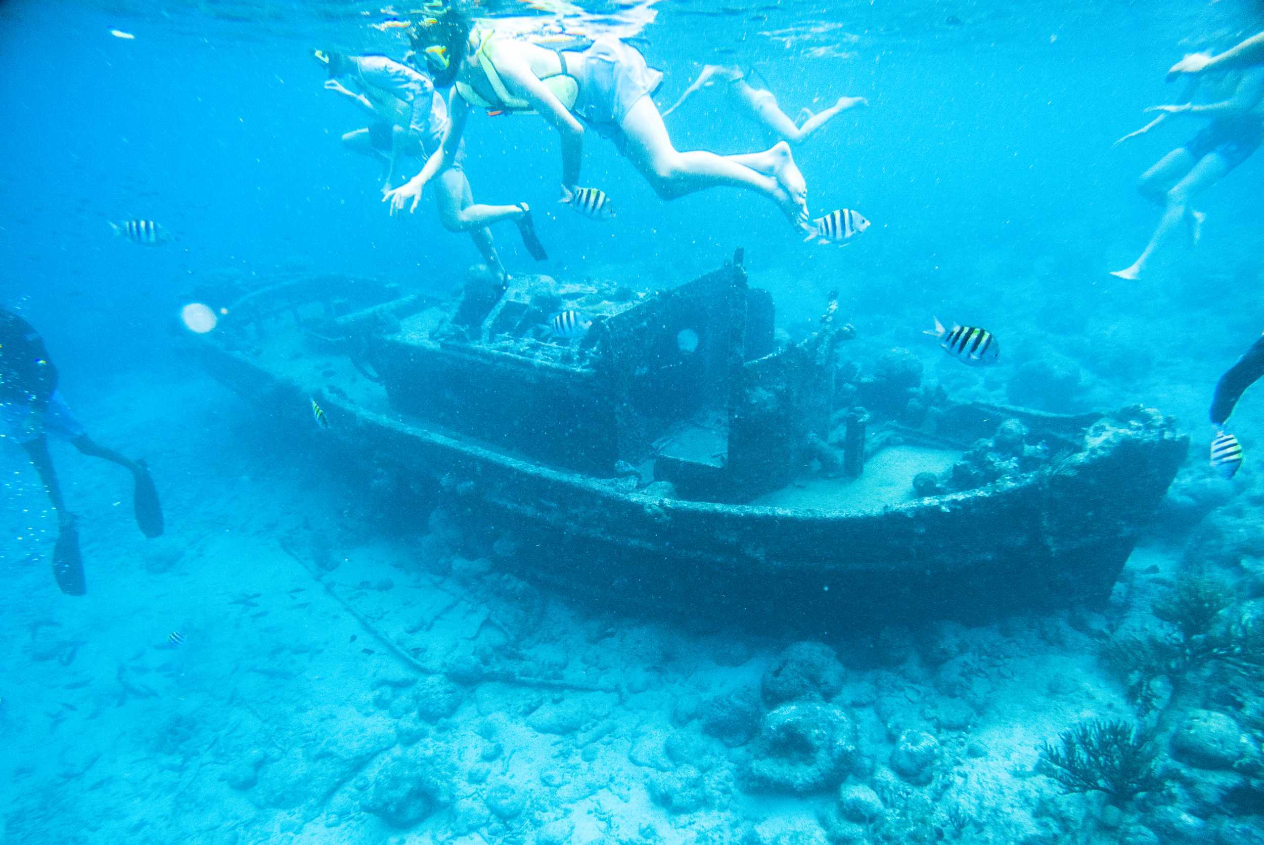 Private Tugboat Snorkel & Beach Experience – photo 3 of 6