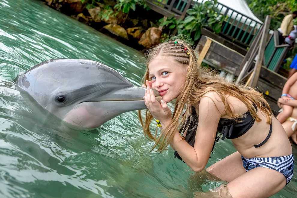 Blue Lagoon Island Dolphin Encounter – photo 3 of 4