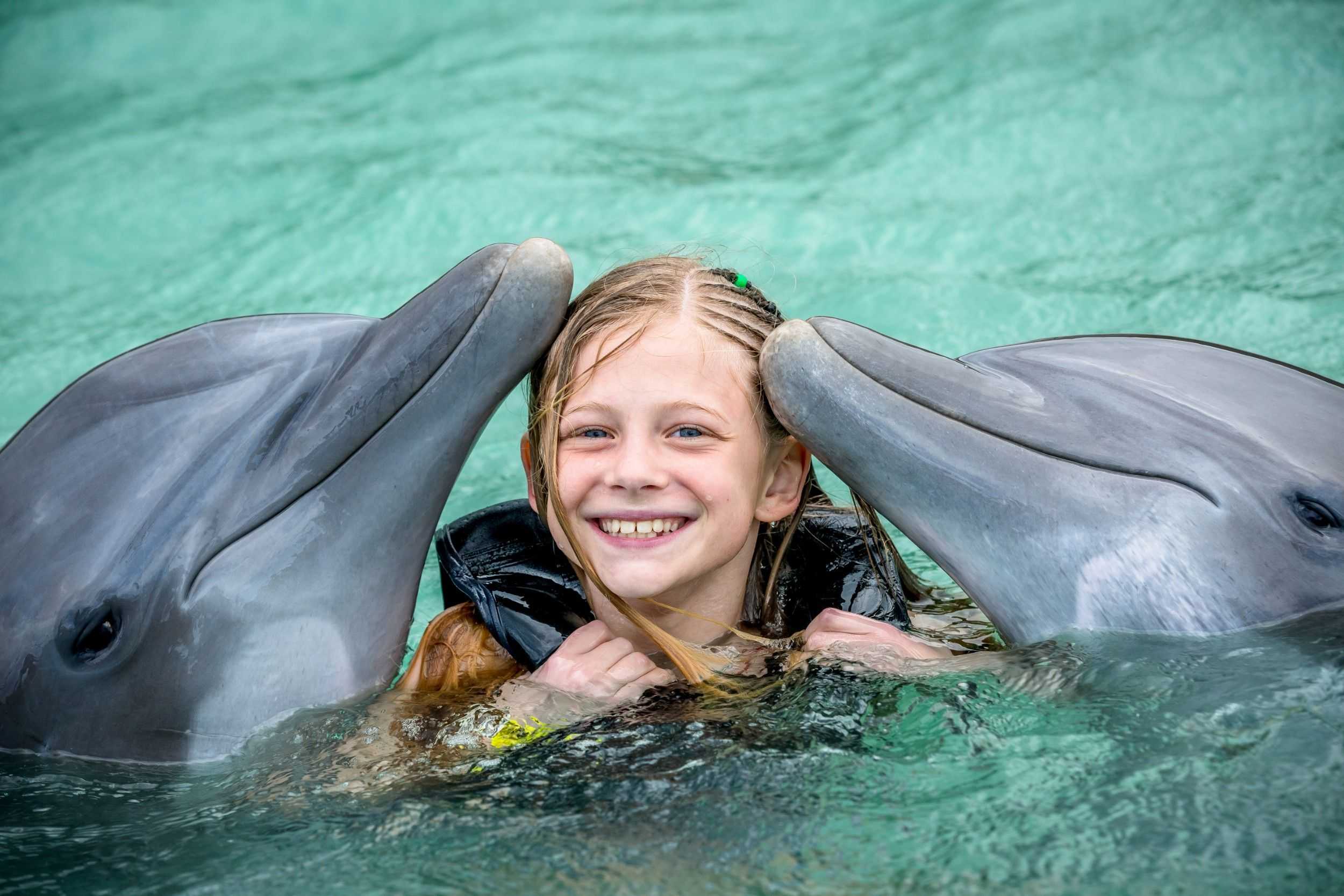 Dolphin Royal Swim and Dunn's River Falls Experience – photo 4 of 12