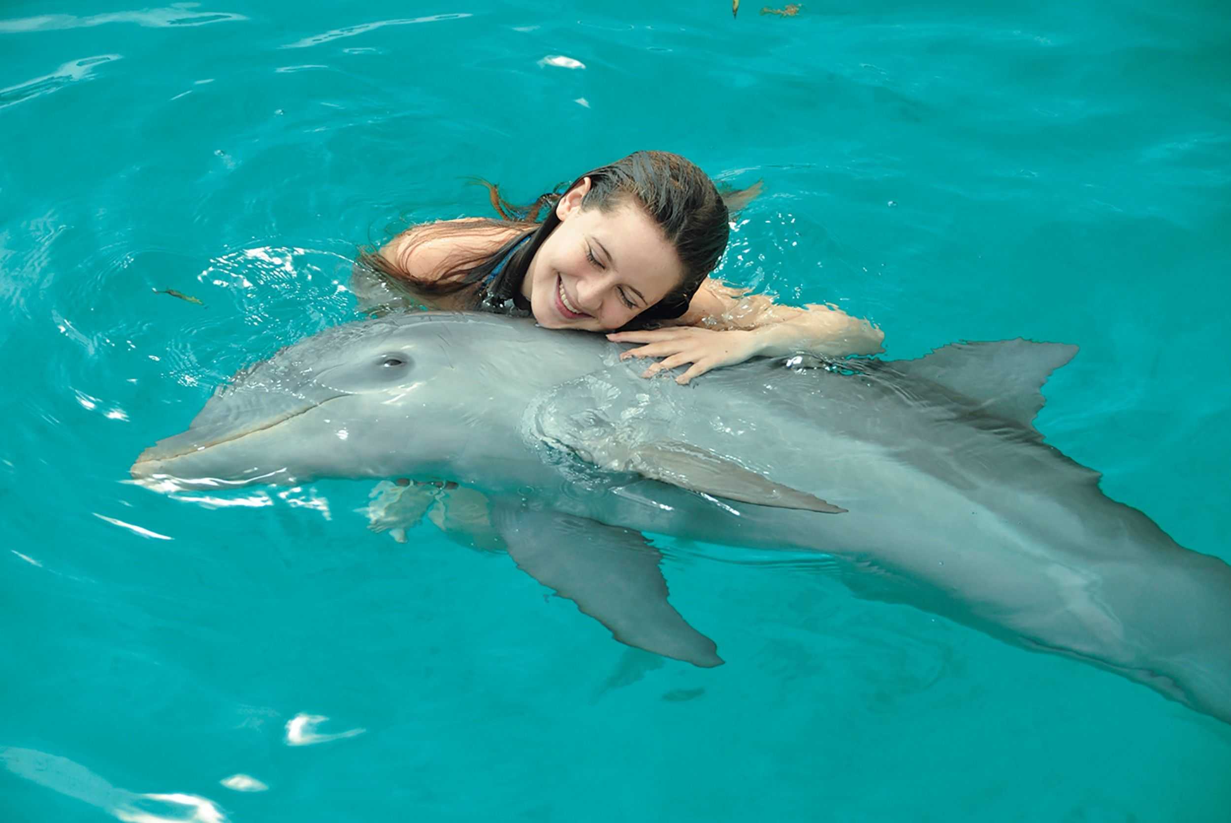 Dolphin Royal Swim and Dunn's River Falls Experience – photo 5 of 12