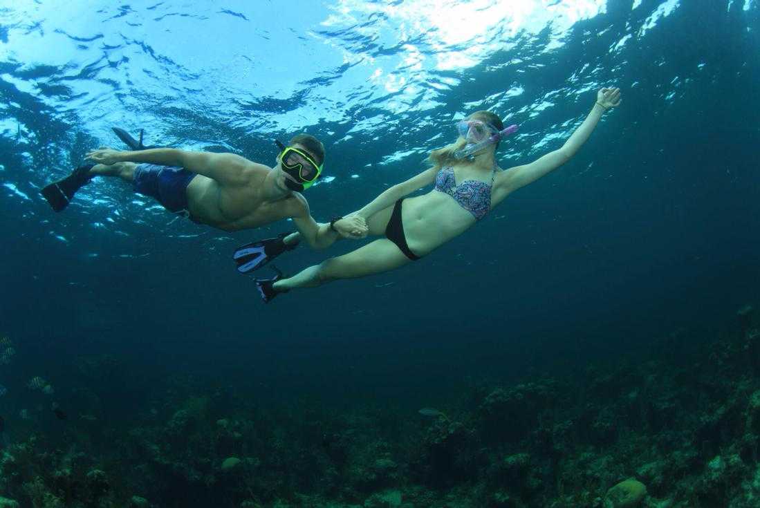 Experience Snorkeling in Nassau – photo 1 of 4