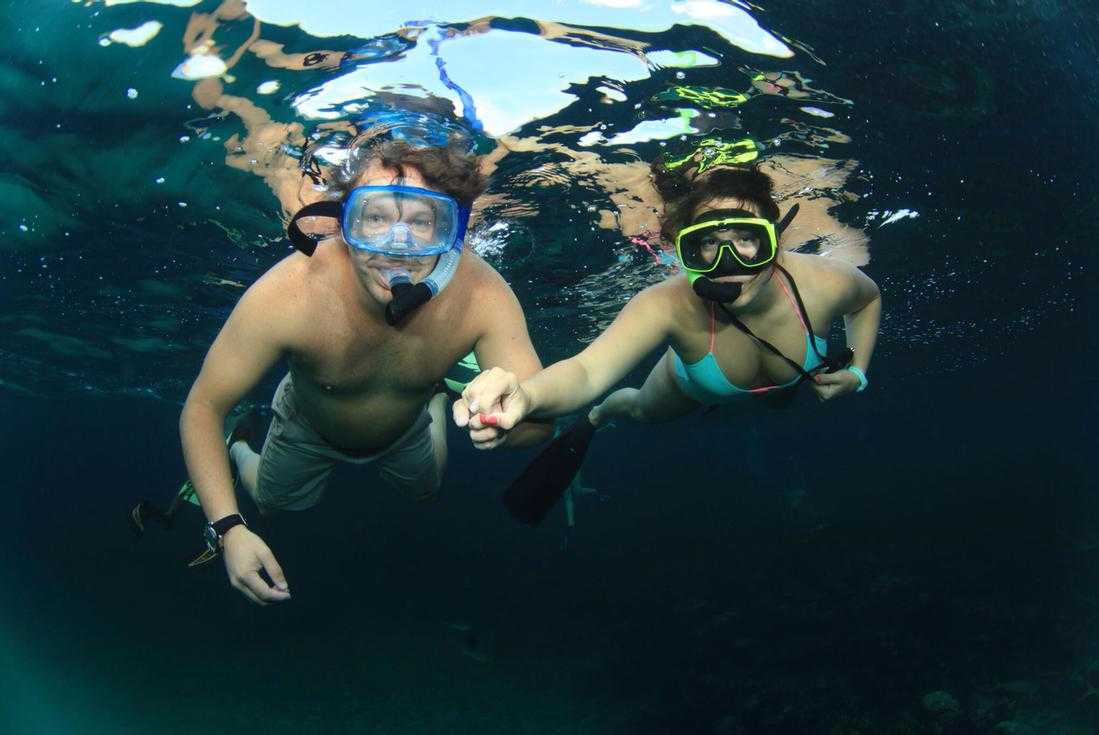 Experience Snorkeling in Nassau – photo 2 of 4