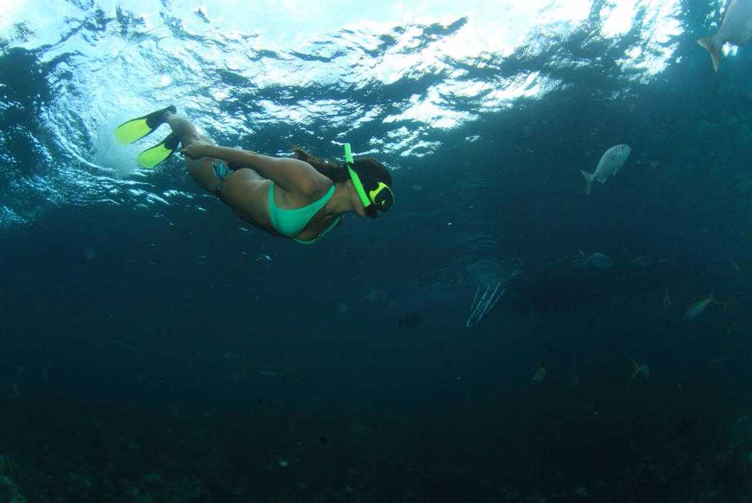 Experience Snorkeling in Nassau – photo 3 of 4