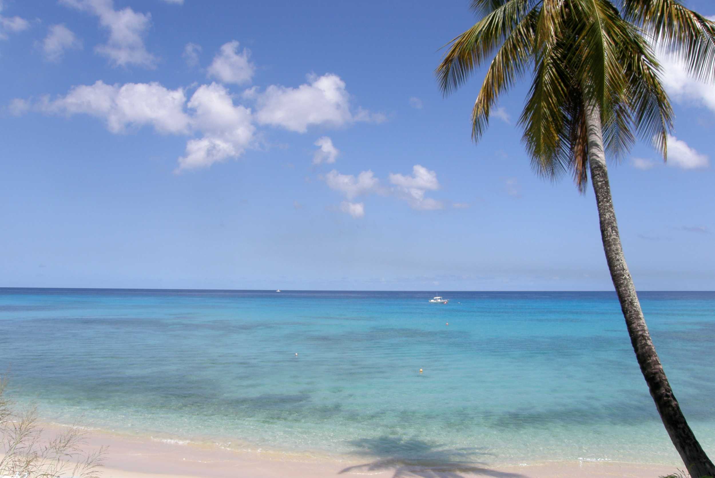 Views of Barbados – photo 4 of 12
