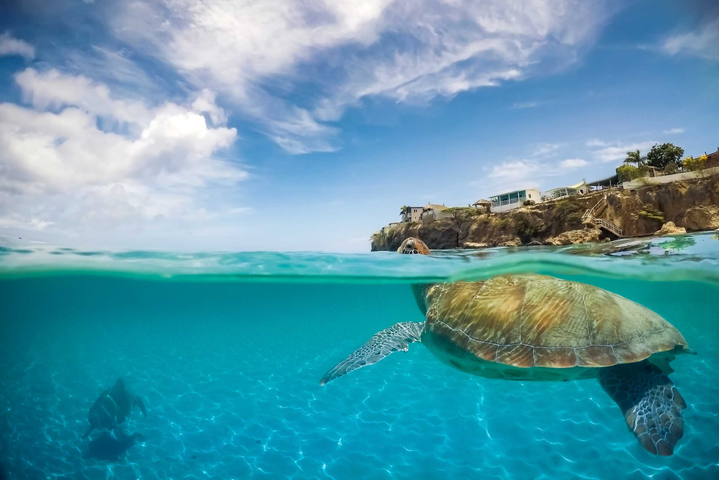 Curacao Caves & Turtle Swim Experience – photo 1 of 6