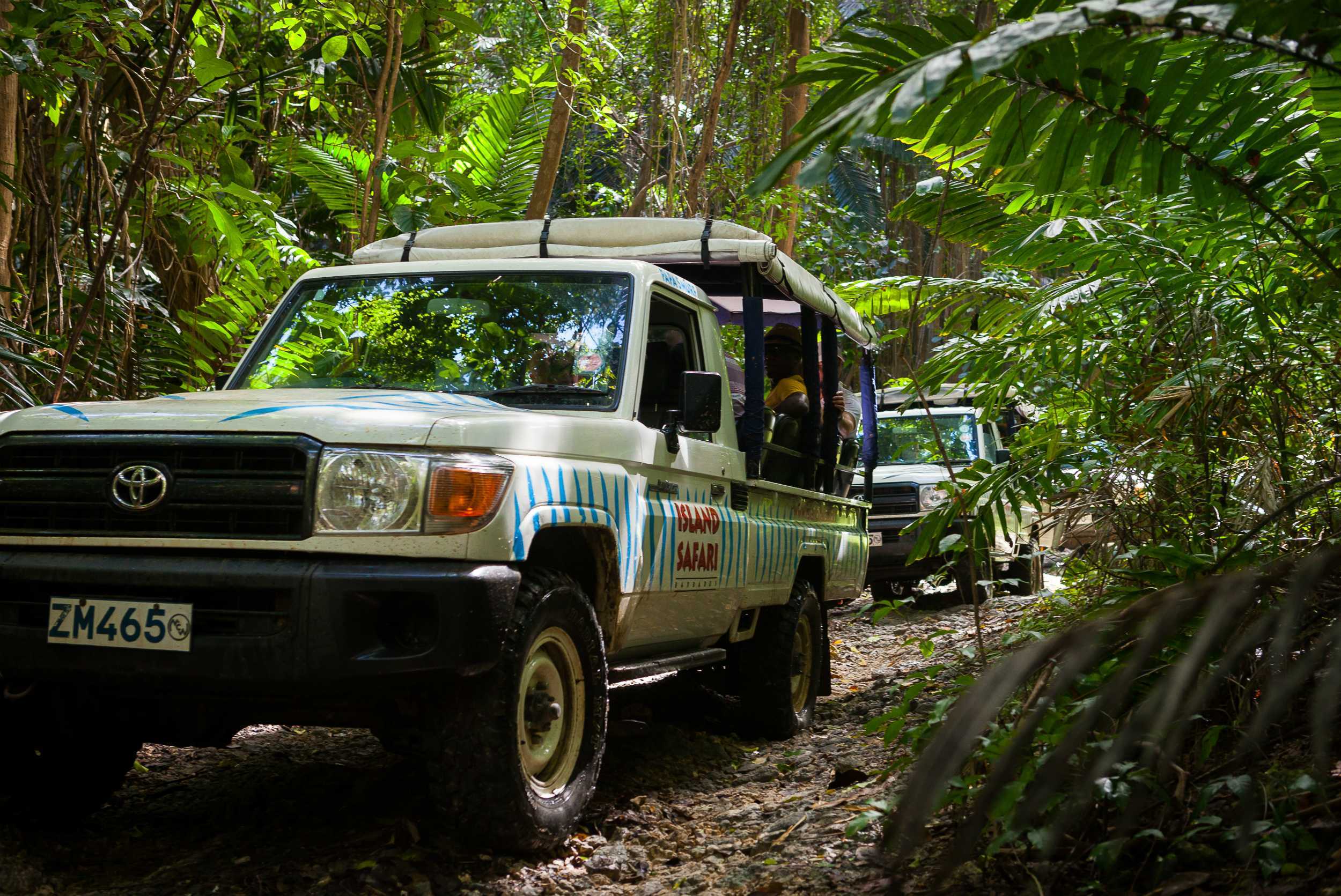 4x4 Best of Barbados Jeep Experience – photo 2 of 4