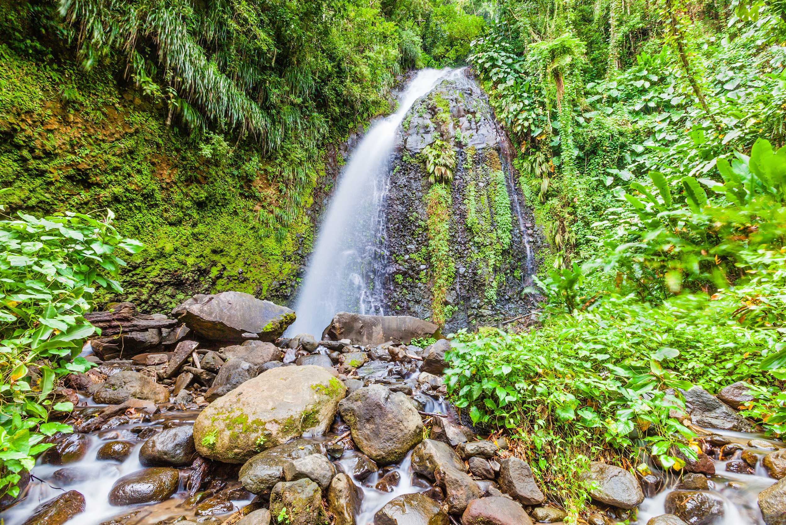Dark View Falls & Historical West Coast Experience – photo 2 of 11