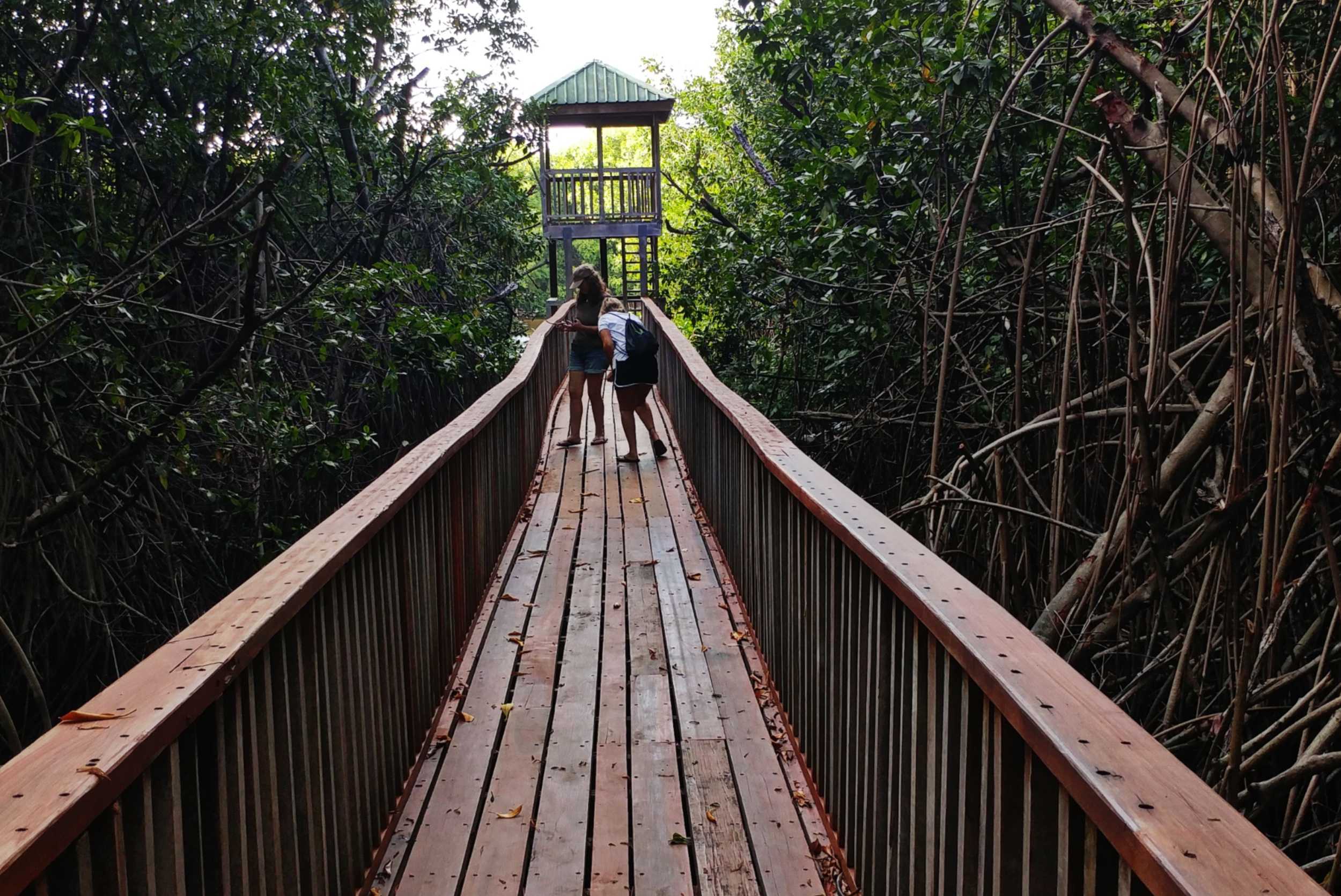 North Coast Grenada Custom Experience – photo 2 of 6