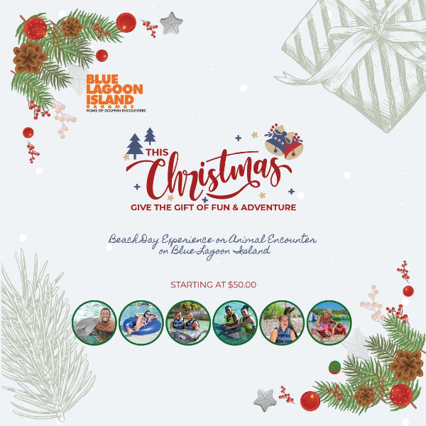 Blue Lagoon Island Gift Certificate