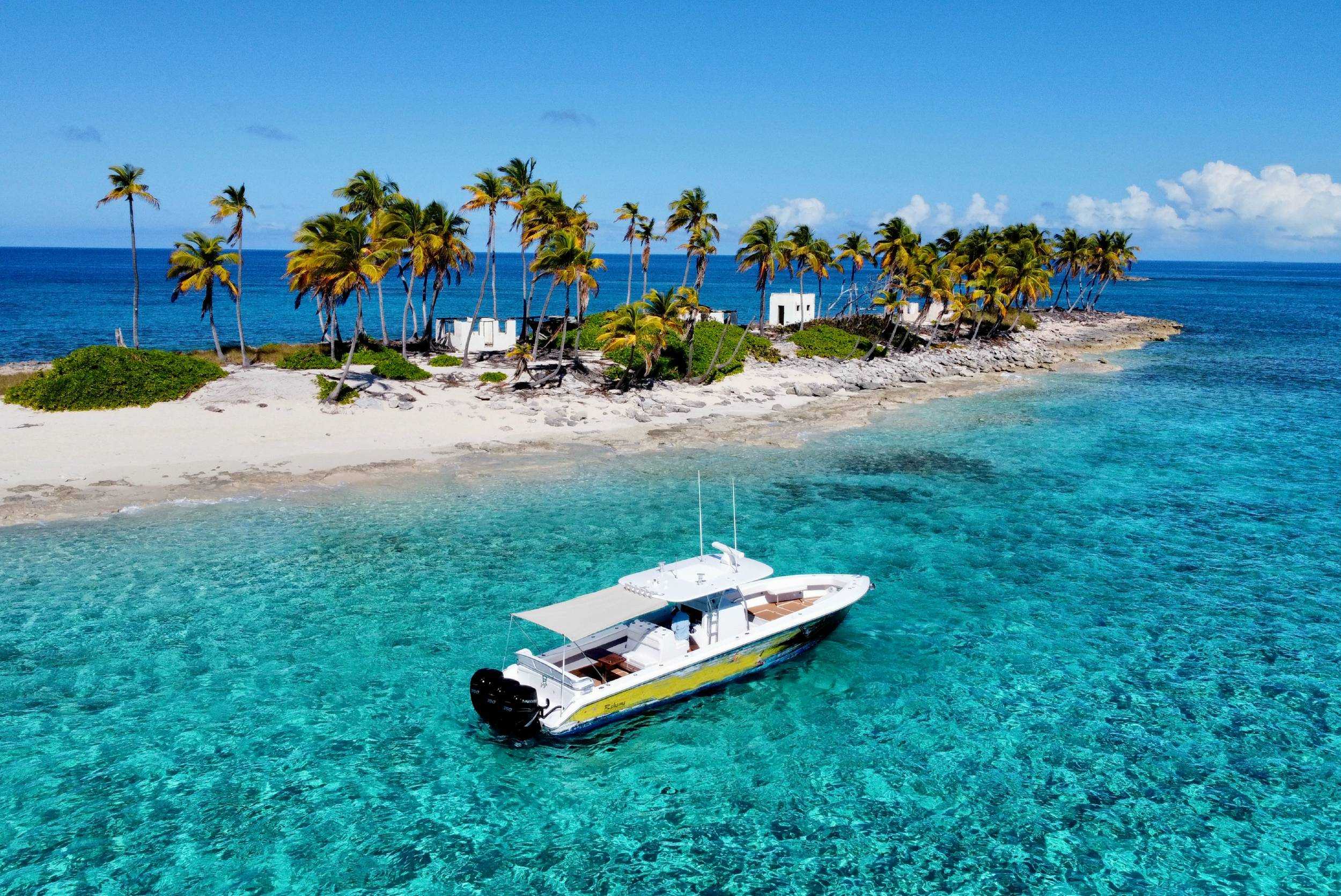 Private Rose Island Pig Interaction & Snorkeling Experience- 41ft Serrano-8 hrs (1- 10pax) – photo 3 of 7