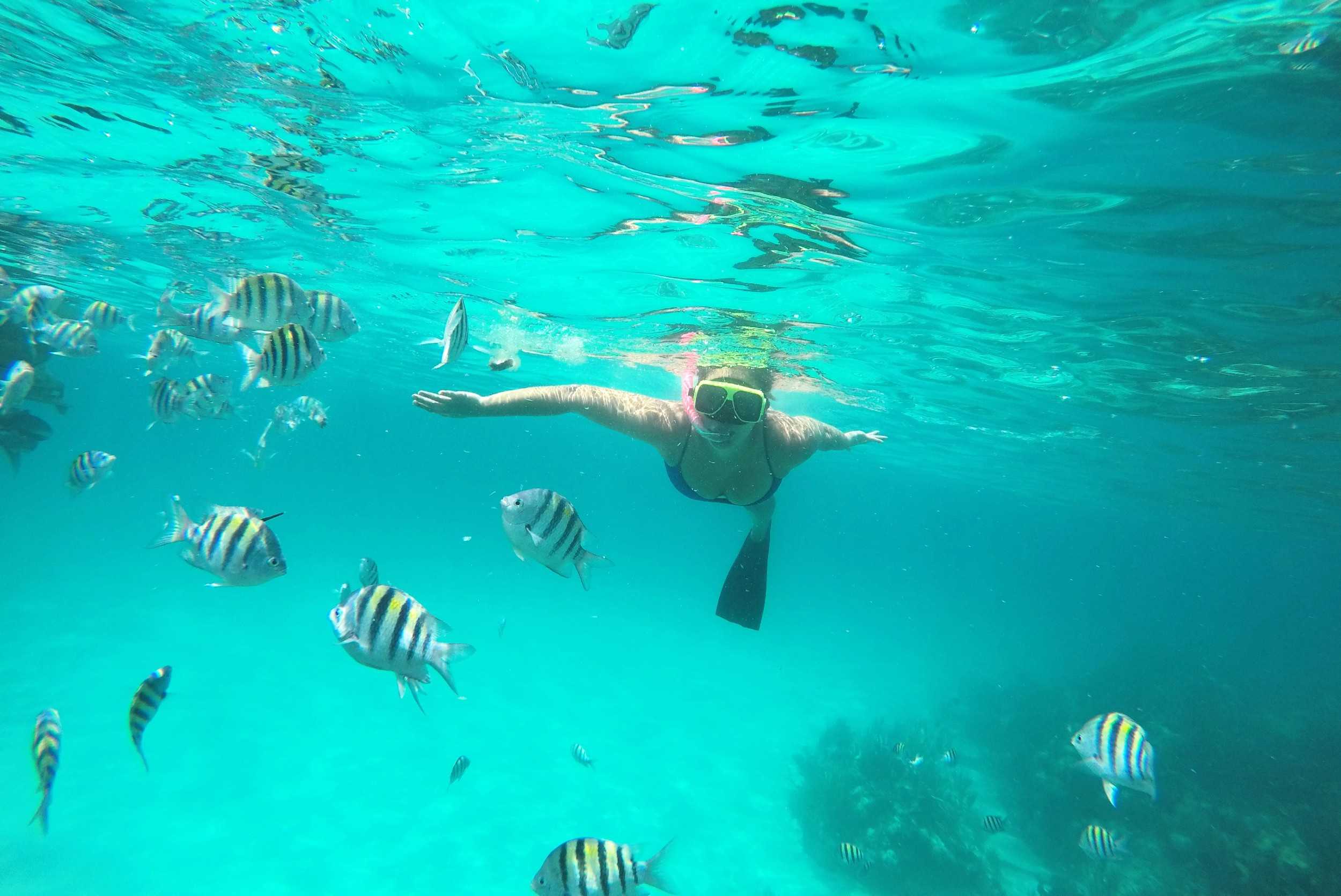 Private Rose Island Pig Interaction & Snorkeling Experience- 41ft Serrano-8 hrs (1- 10pax) – photo 4 of 7