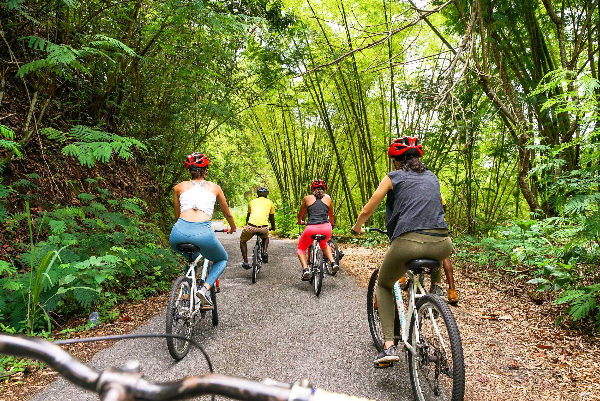 Bicycle Adventure in the Blue Mountain from Kingston