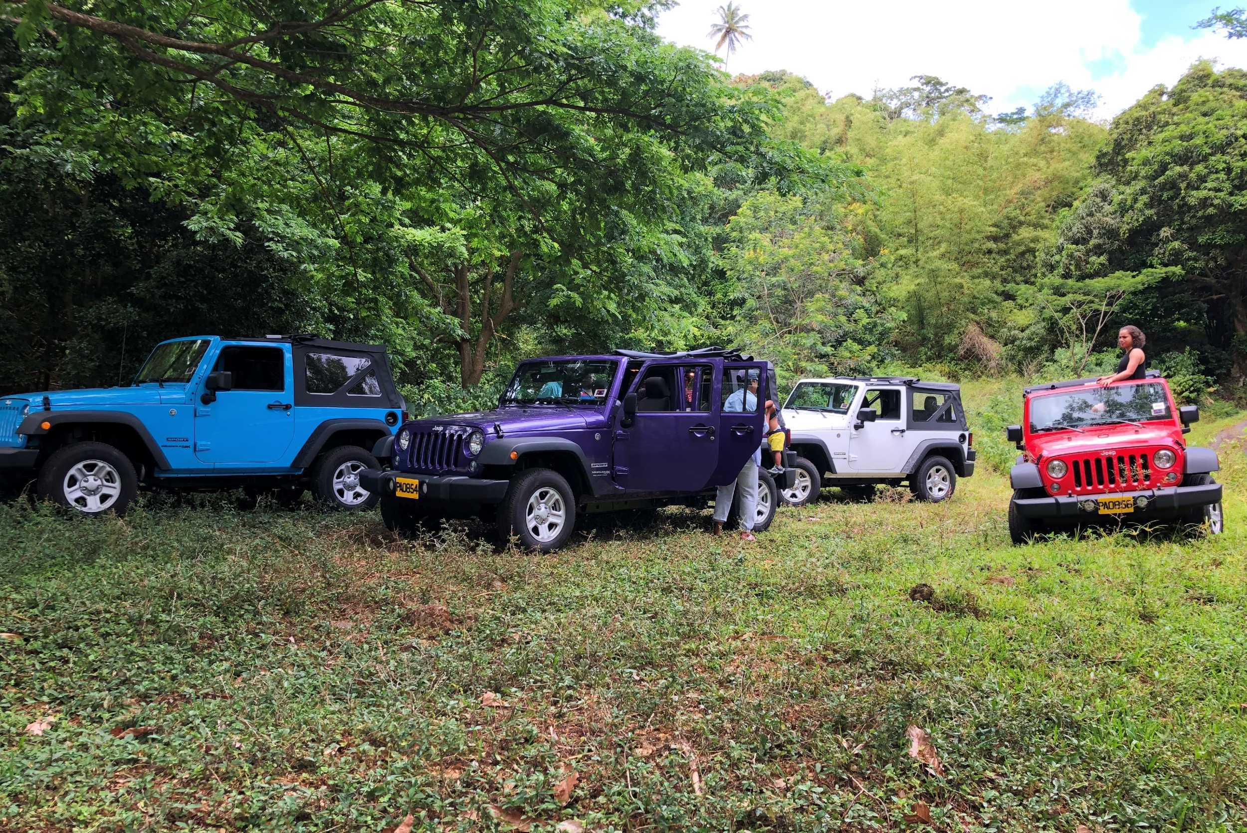4x4 Jeep Sightseeing and Waterfall Experience – photo 2 of 5