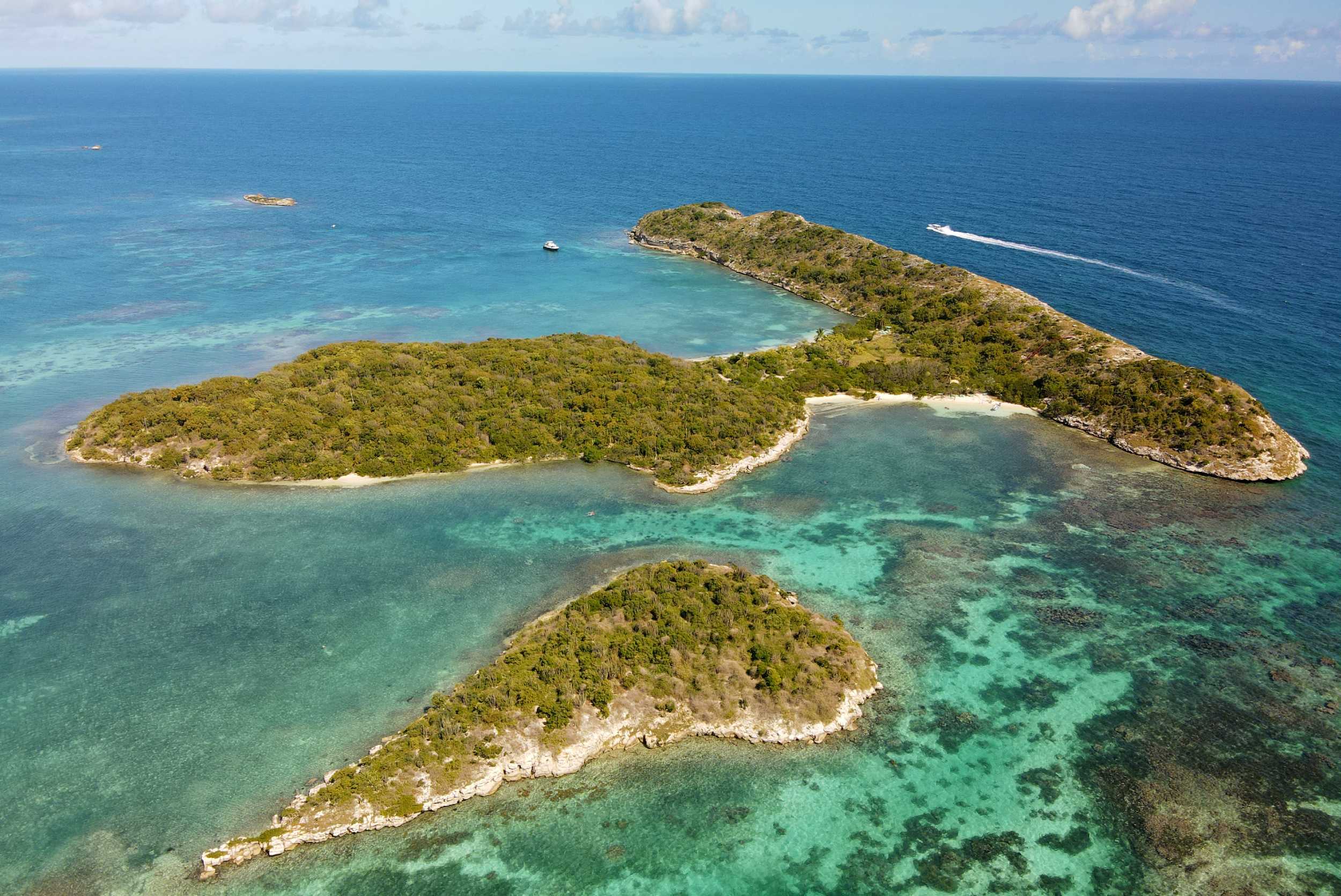 Great Bird Island Turtle & Snorkeling Experience – photo 4 of 6