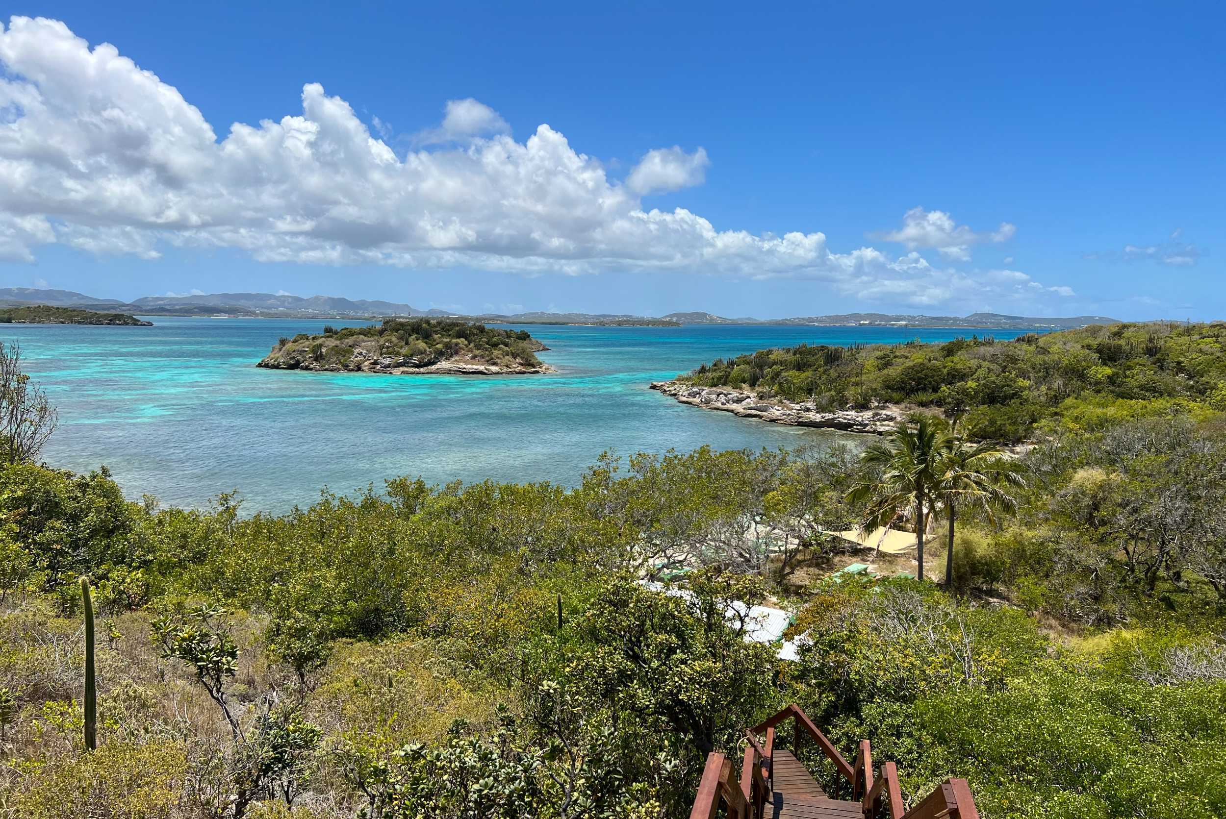 Great Bird Island Turtle & Snorkeling Experience – photo 1 of 6