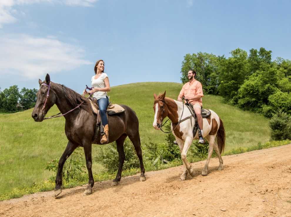 Five Oaks Horseback Riding Adventure