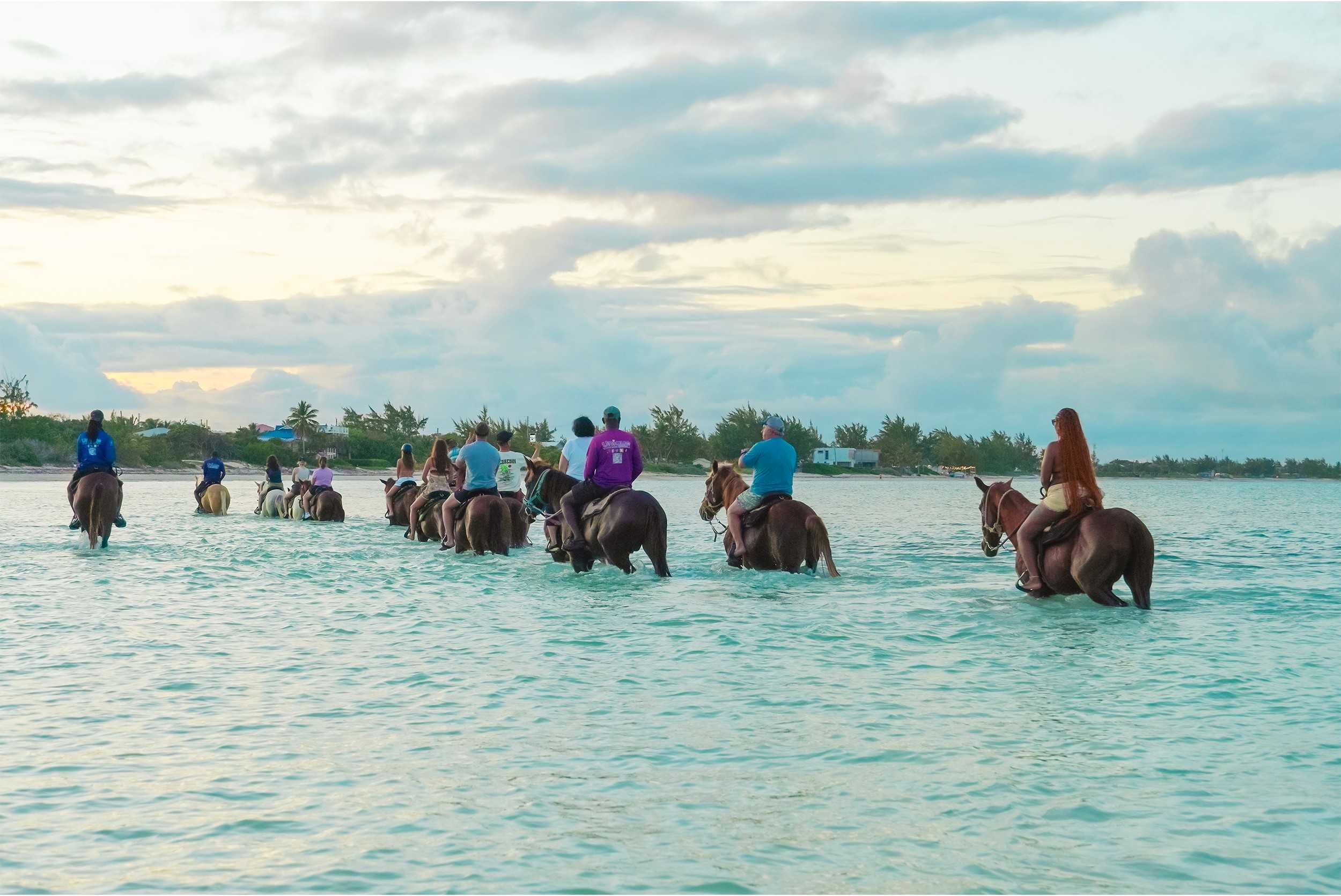 Turks Sunrise Horseback & Safari Adventure – photo 2 of 5