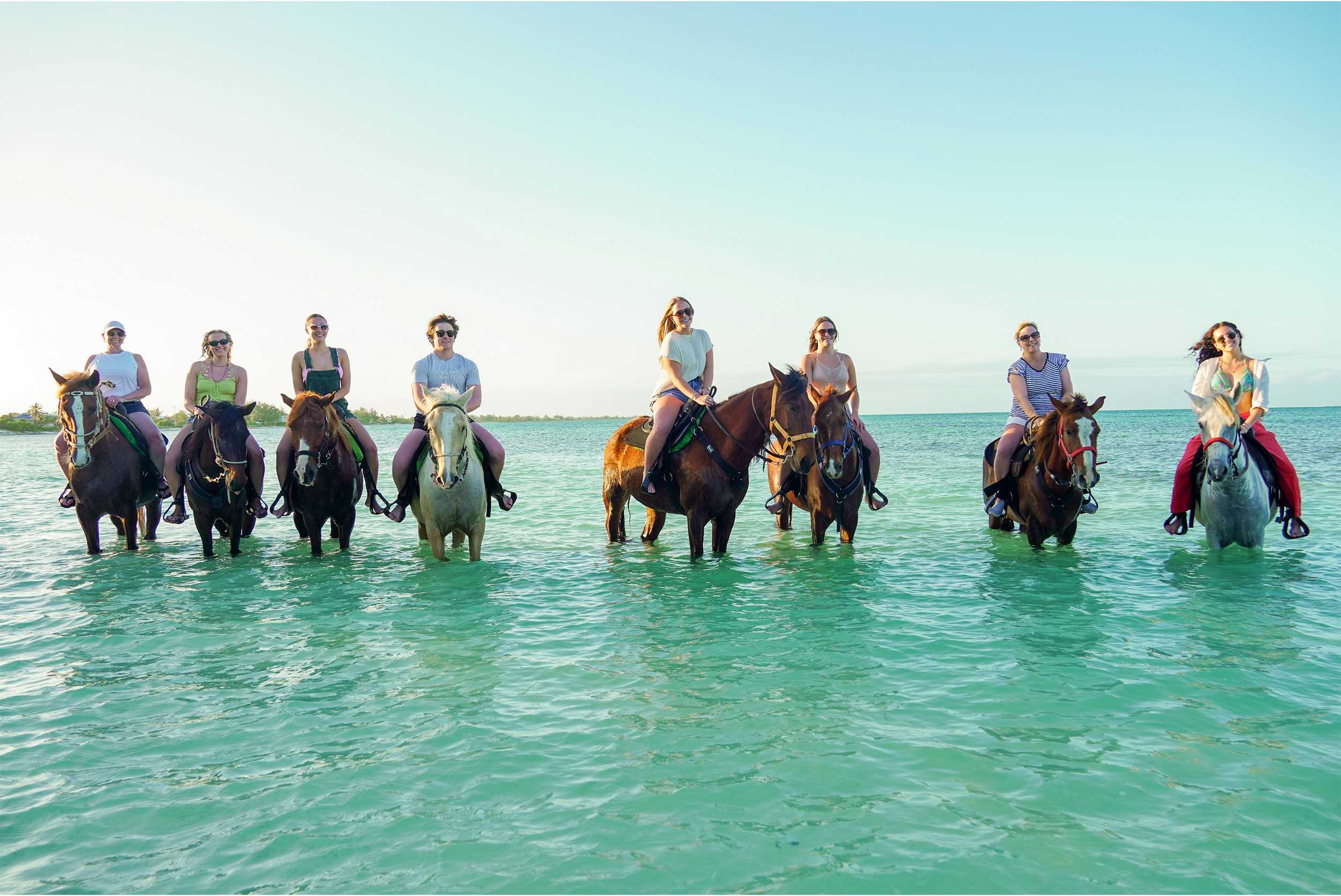 Turks Sunrise Horseback & Safari Adventure – photo 5 of 5