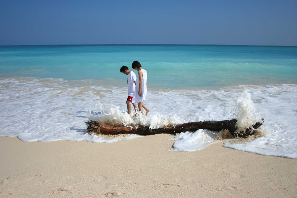 The Grand Circle Island Tour – A Romantic Full-Day Oʻahu Experience