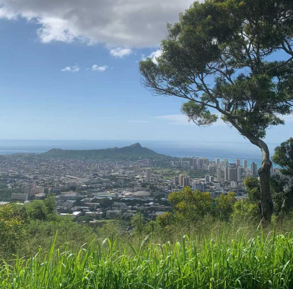 Iconic Downtown Honolulu Tour – A Romantic Journey Through History & Culture