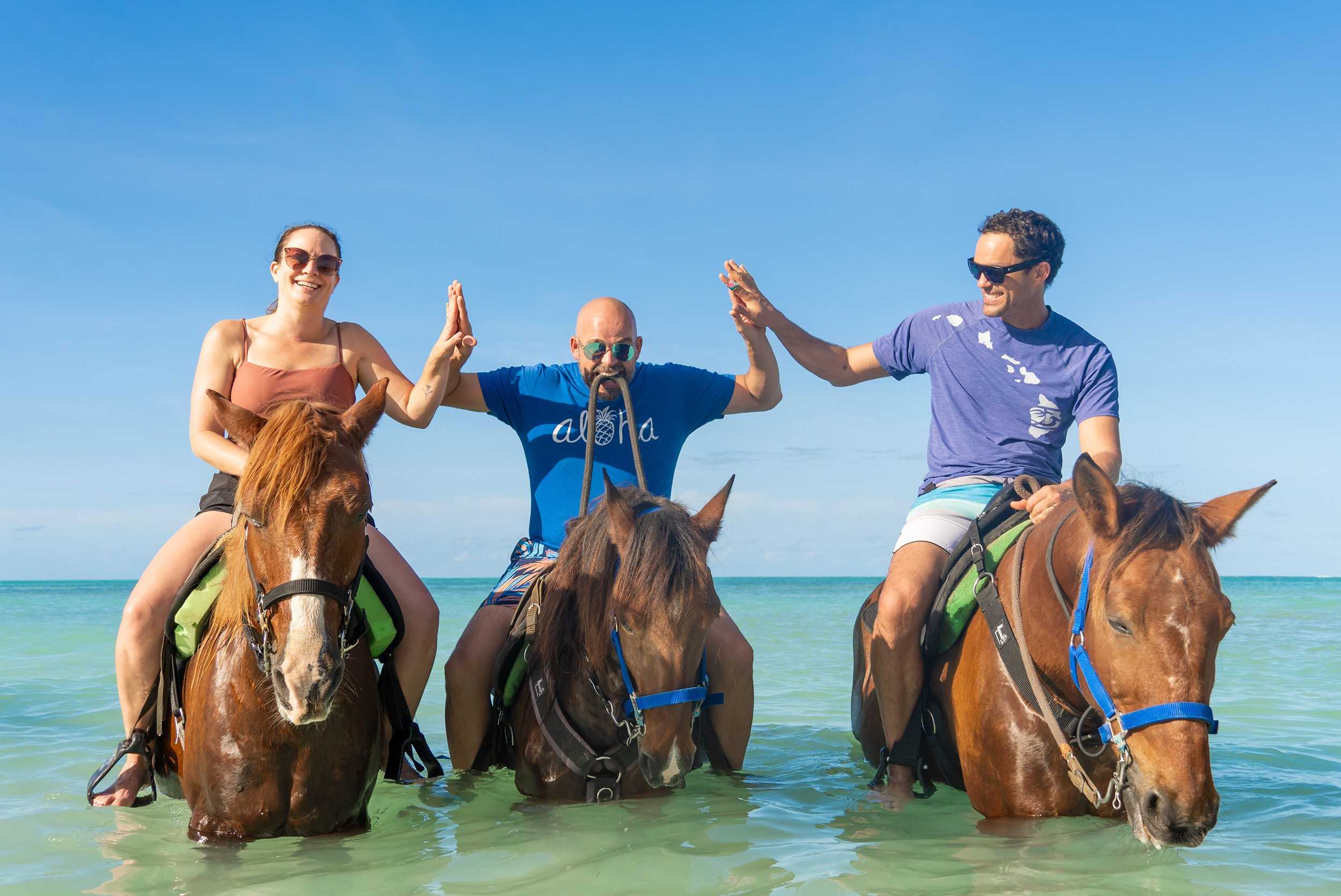 Private Horseback Beach Ride Turks & Caicos – photo 3 of 6