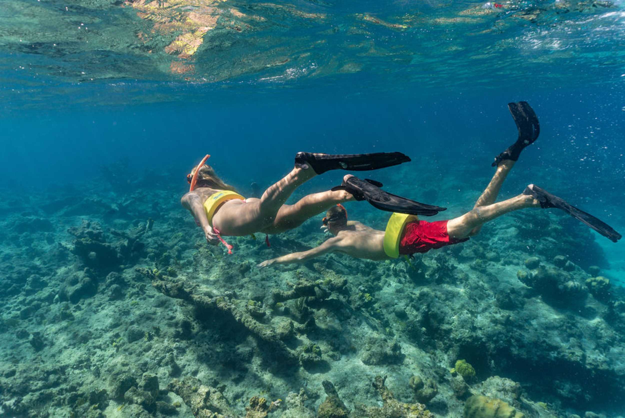 Caicos Snorkel! Snorkel! Reef Adventure – photo 2 of 7