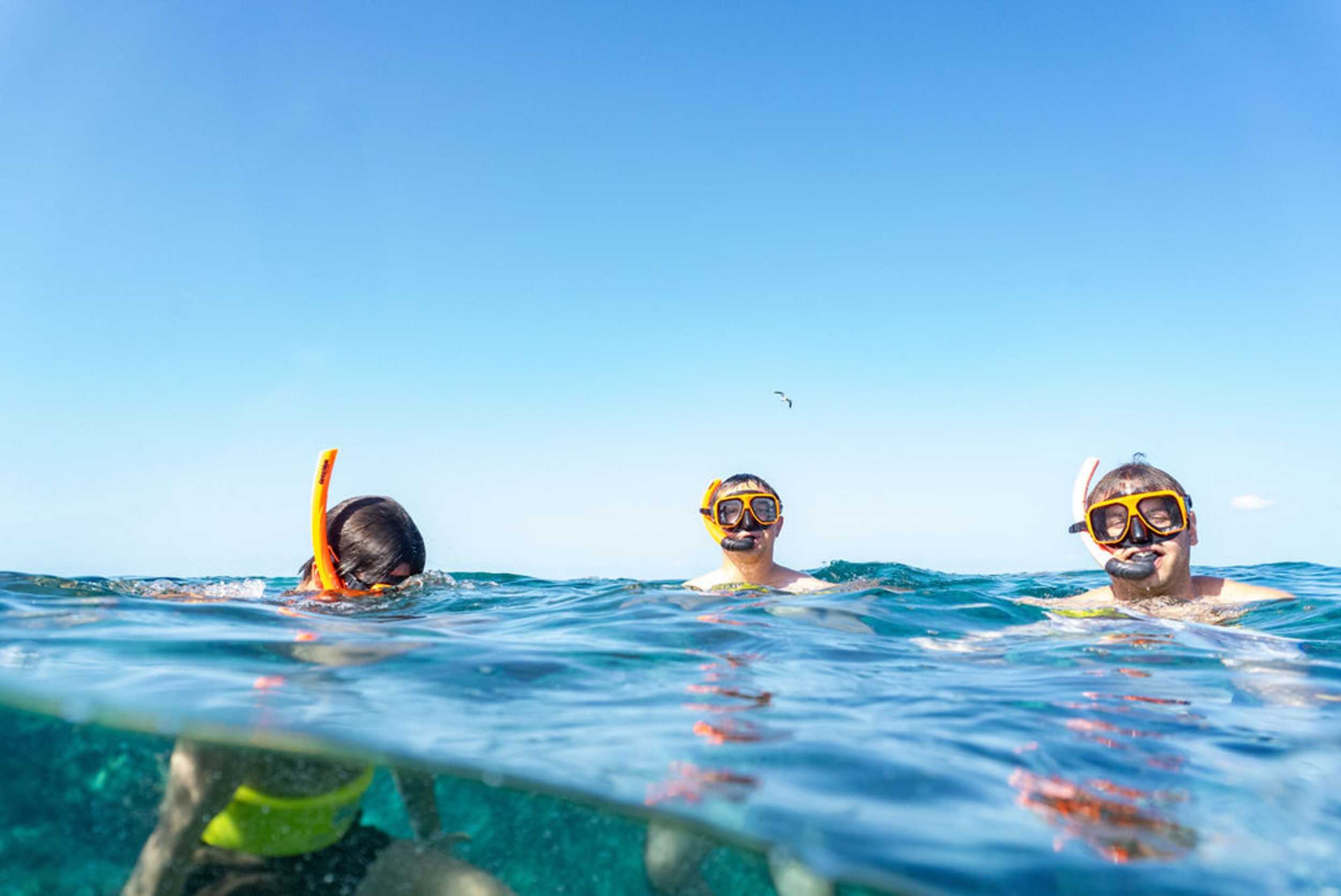 Caicos Snorkel! Snorkel! Reef Adventure – photo 5 of 7