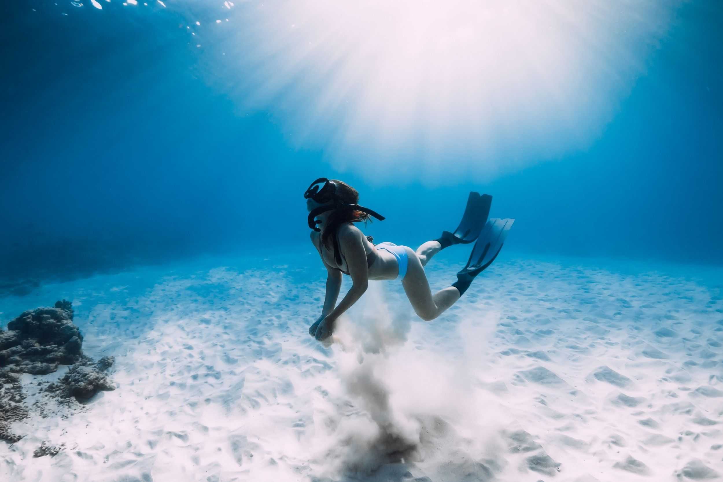 Ocean wildlife experience