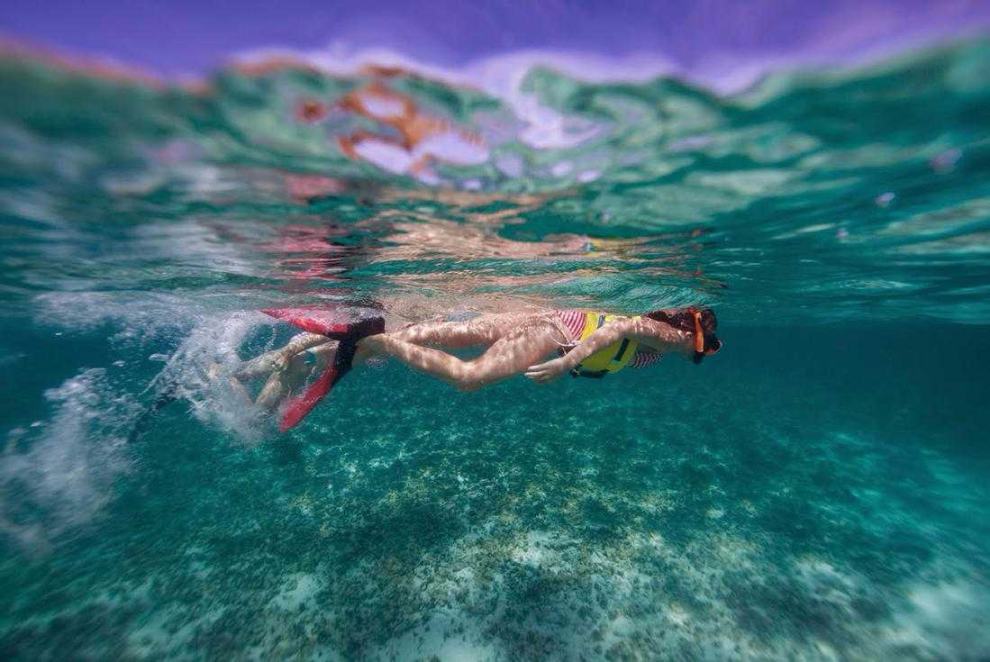Snorkeler swimming above a reef in clear Antigua water