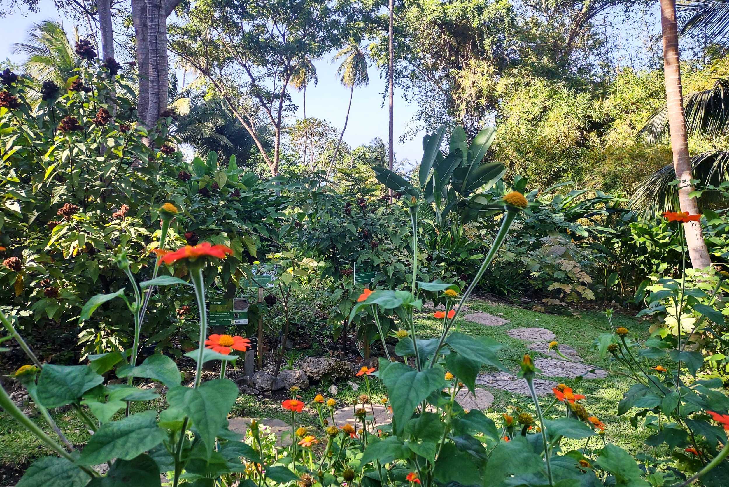 Andromeda Botanical Gardens Experience- 5 Acres – photo 5 of 7