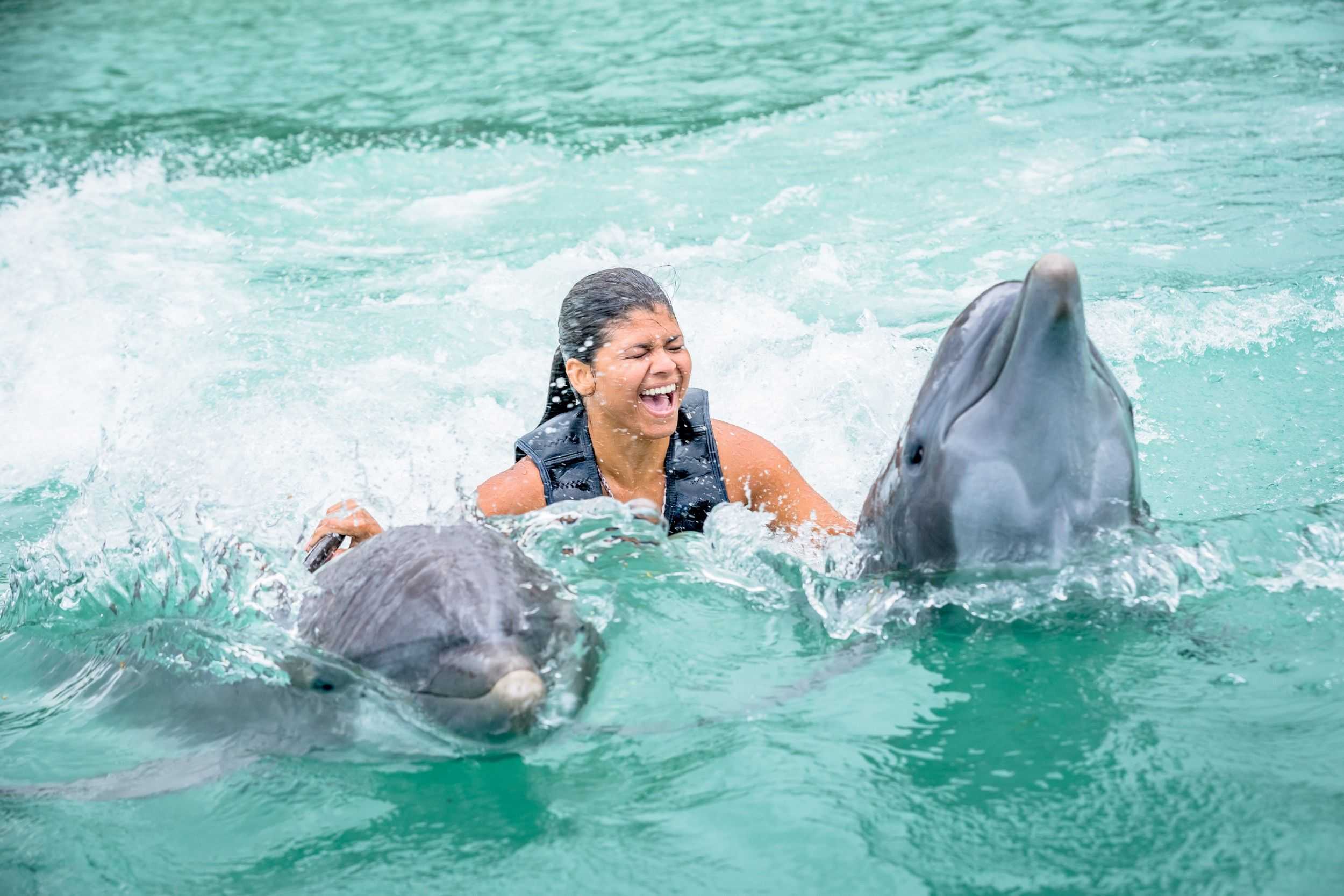 Dolphin Swim  Lucea – photo 2 of 6