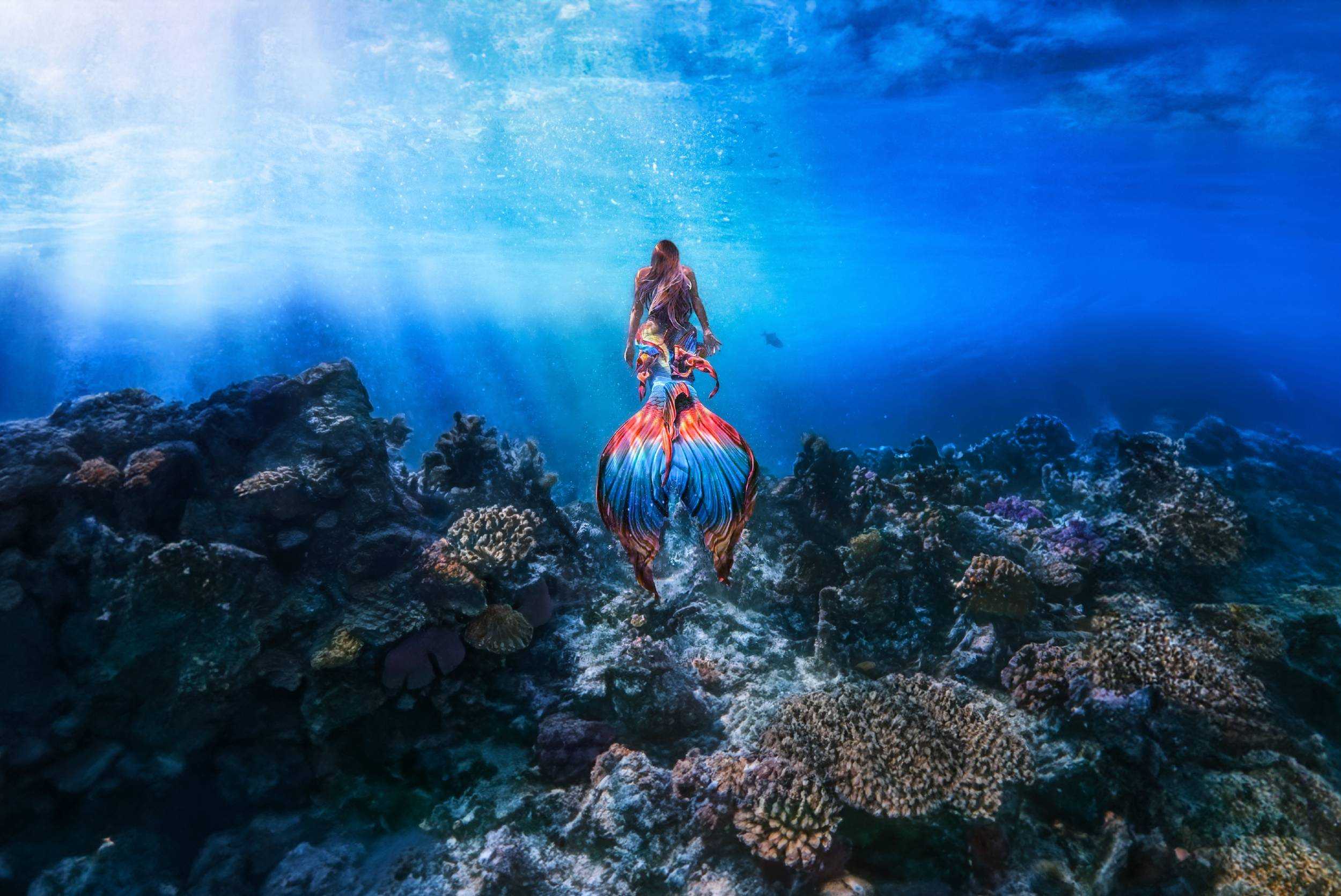 Underwater Mermaid Submarine Tour Providenciales – photo 2 of 6