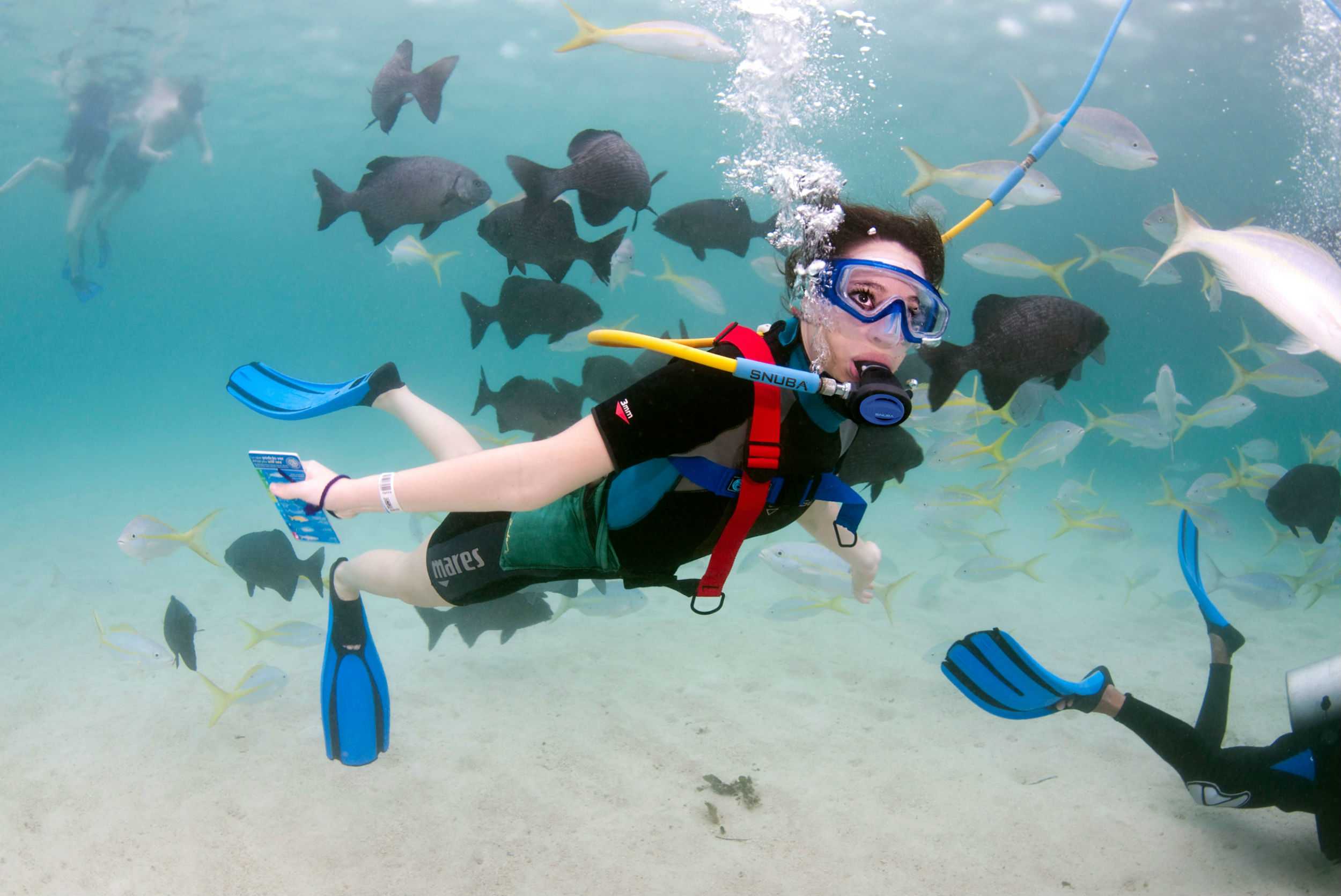 Snuba Experience Curacao – photo 5 of 6
