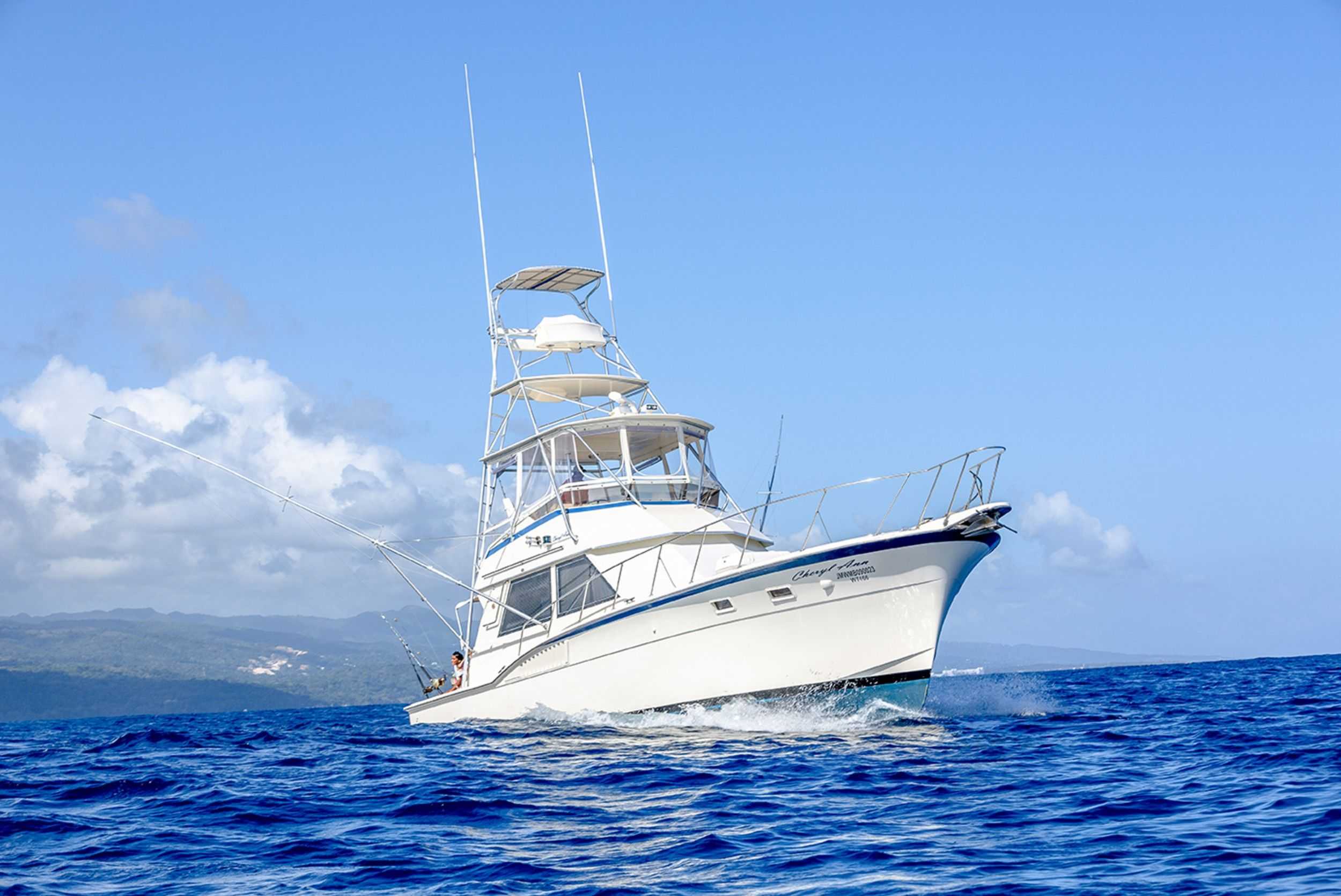 Deep Sea Sport Fishing Antigua – photo 3 of 6