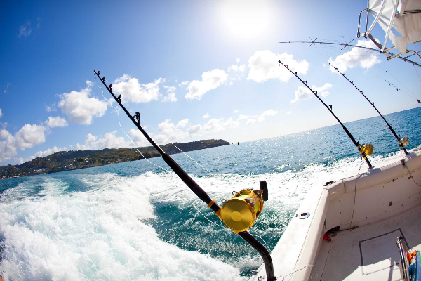 Deep Sea Fishing Antigua - Island Routes