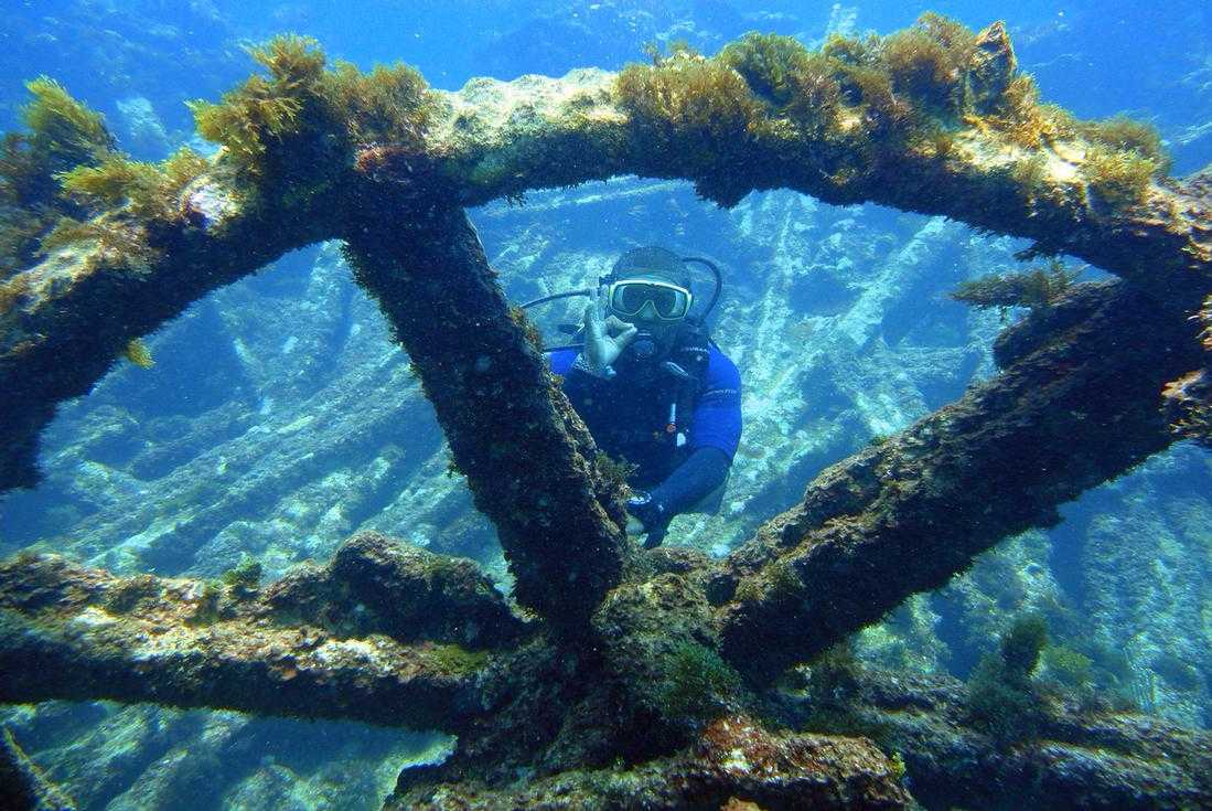 Catalina Island Diving Excursion – photo 1 of 7