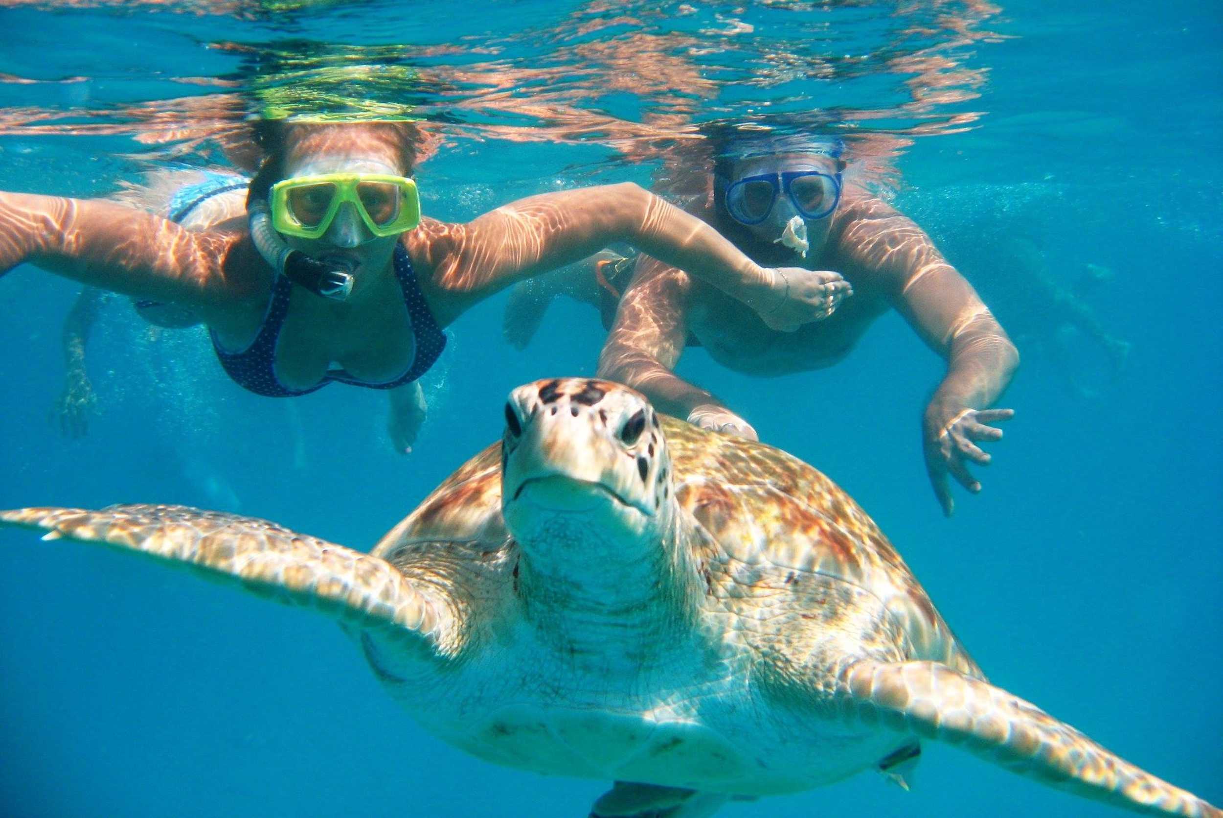 Private Barbados Snorkel & Lunch Cruise – photo 1 of 5