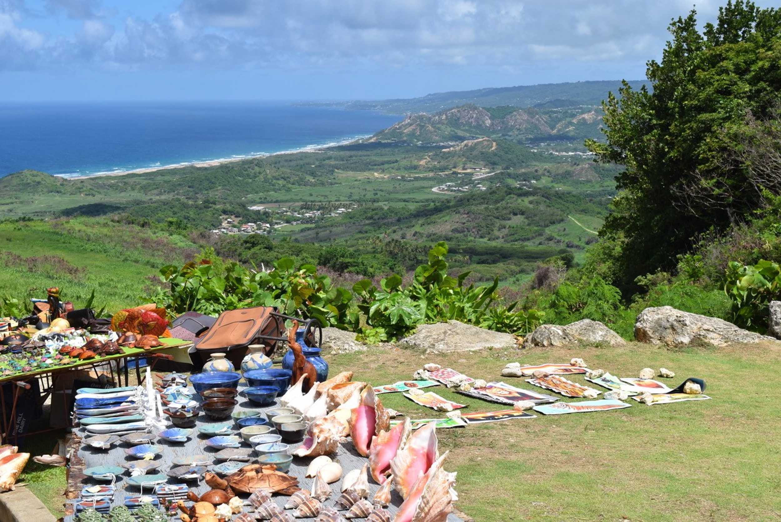 Barbados Swim, Snorkel and Wildlife Experience – photo 5 of 9
