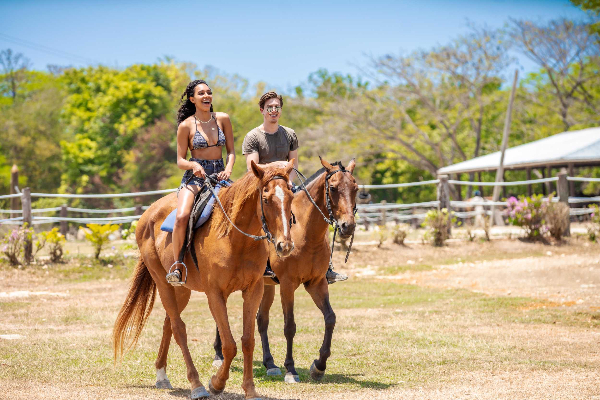 Horseback Beach Ride Sandy Bay