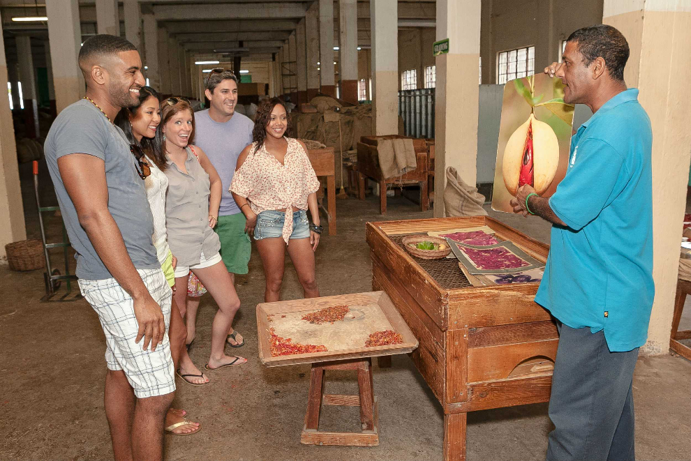 Guide presenting nutmeg during a Grenada spice tour