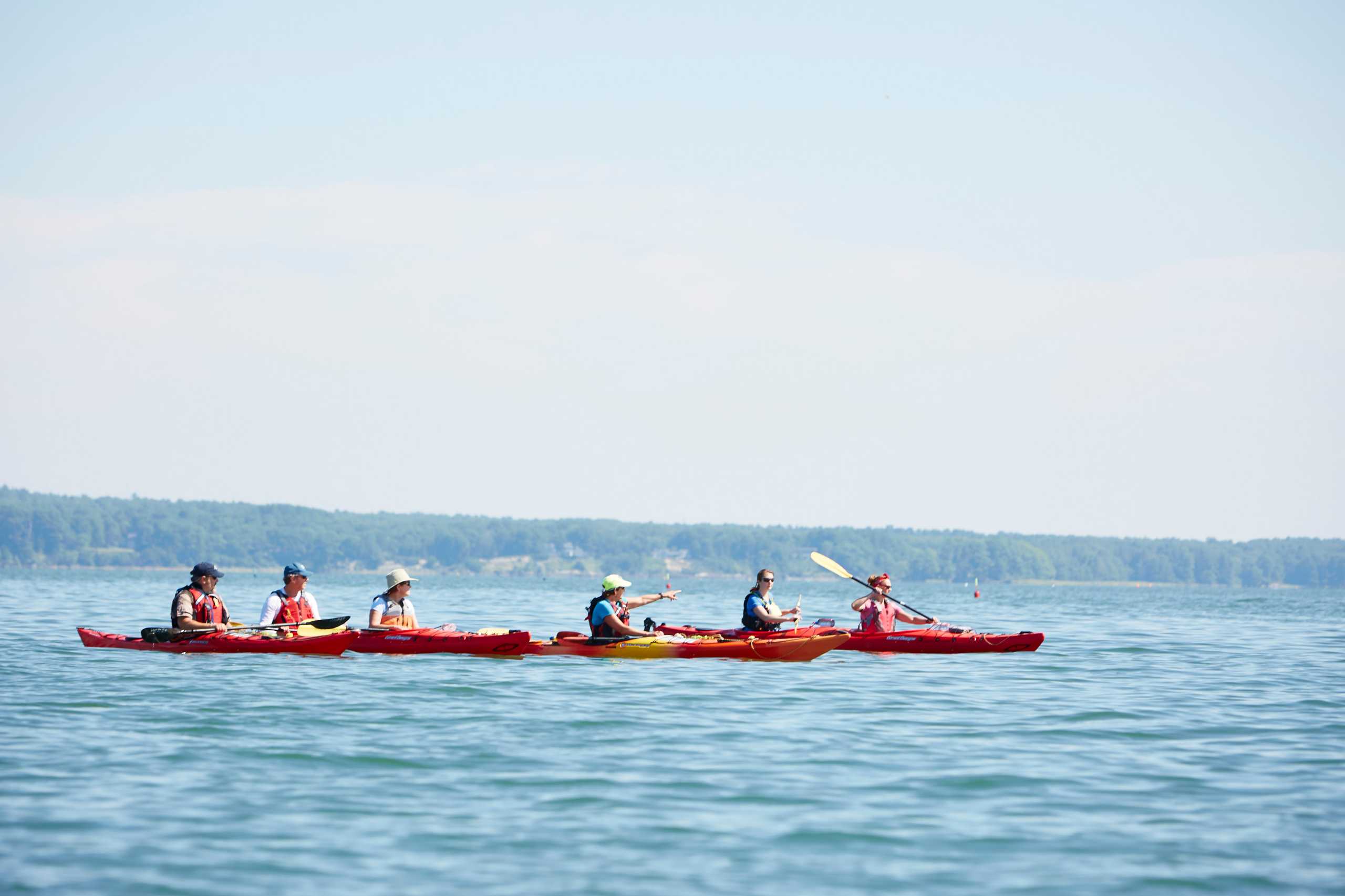 Casco Bay Kayak Tour with Maine Audubon