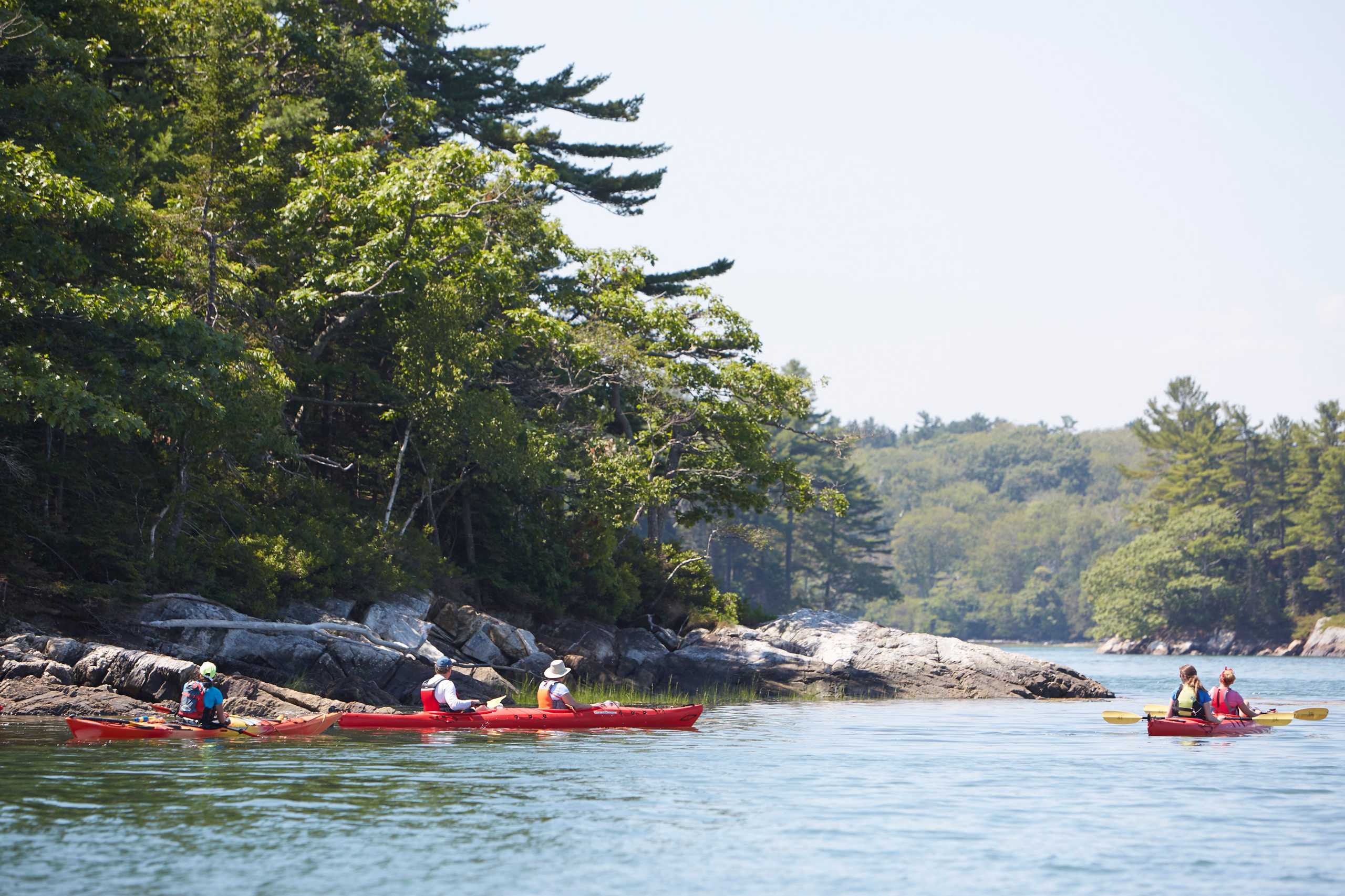 Casco Bay Kayak Tour with Maine Audubon