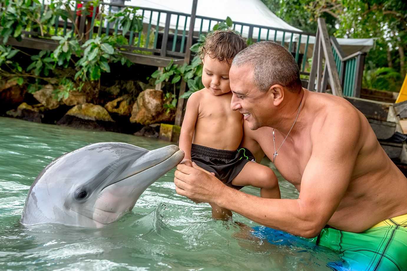 Dolphin Encounter & Dunns River Falls Experience – photo 3 of 9