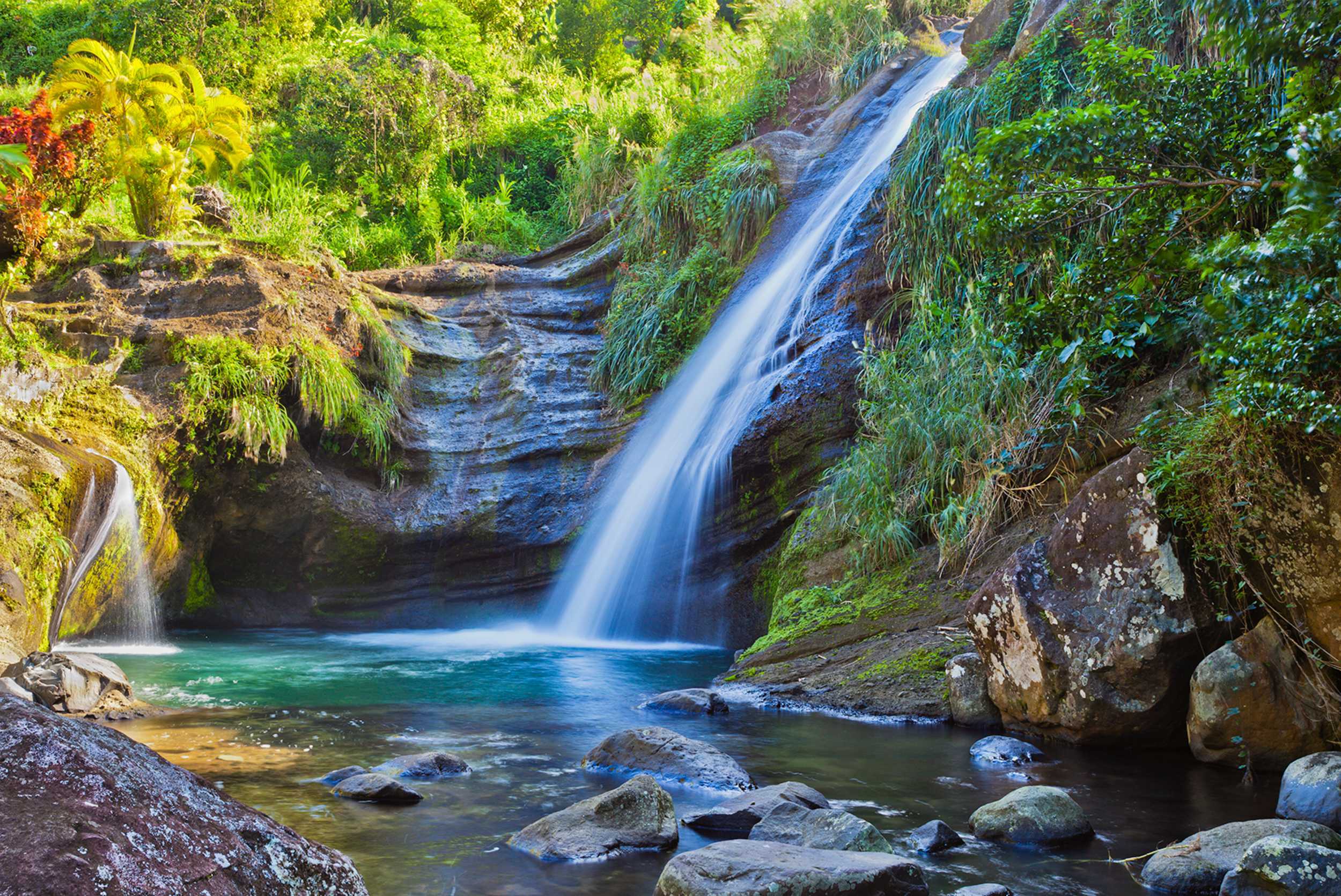 Private Grenada Culinary, Waterfall, and Rainforest Experience – photo 1 of 1