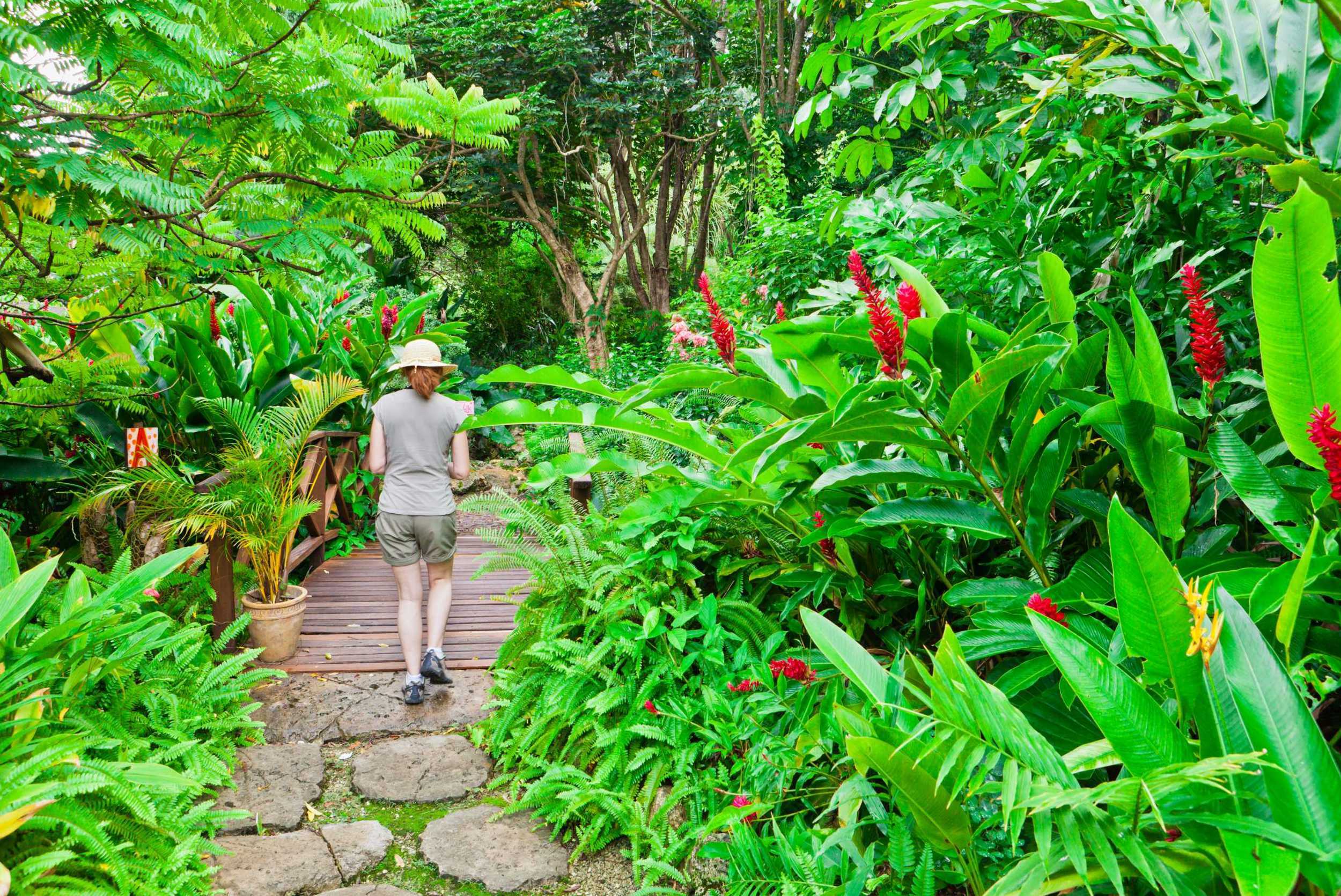 Historical Abbey & Garden Tour – photo 3 of 4