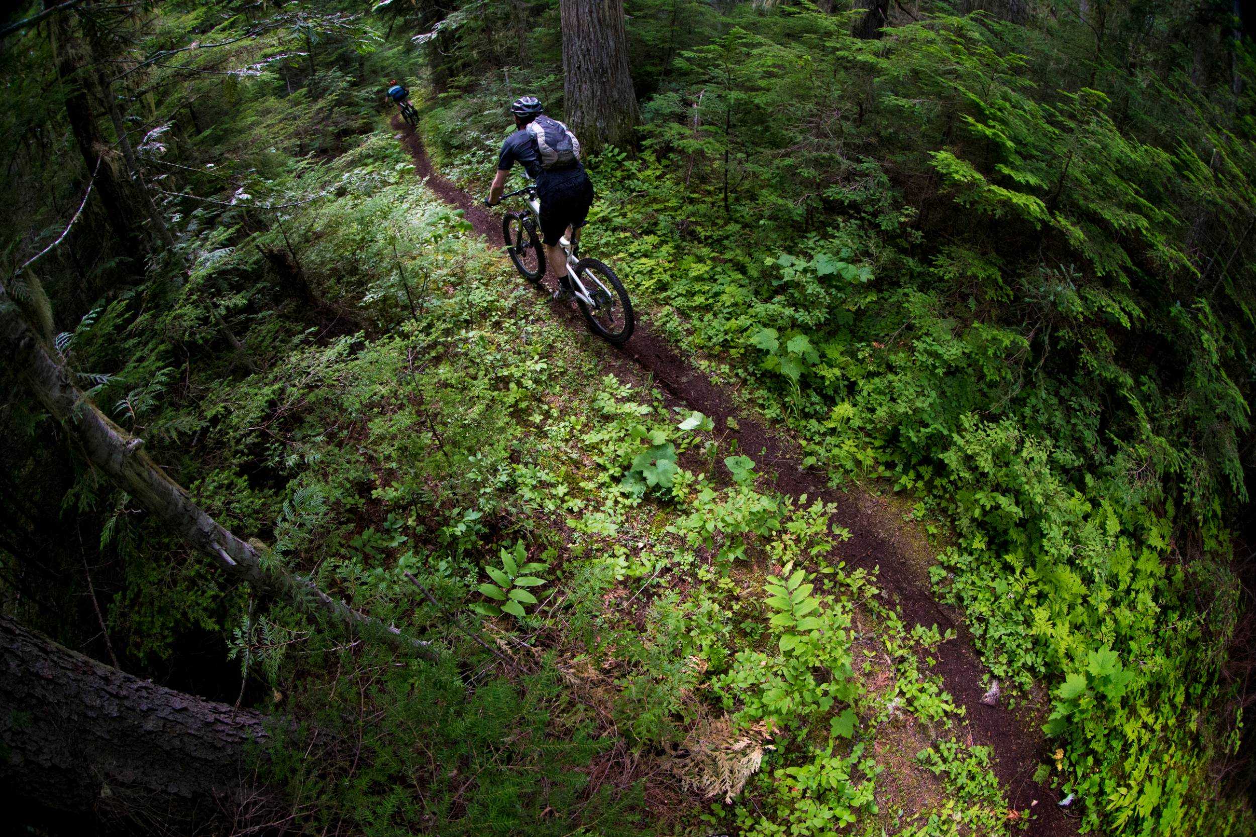 Waterfall Cycling Adventure – photo 3 of 3