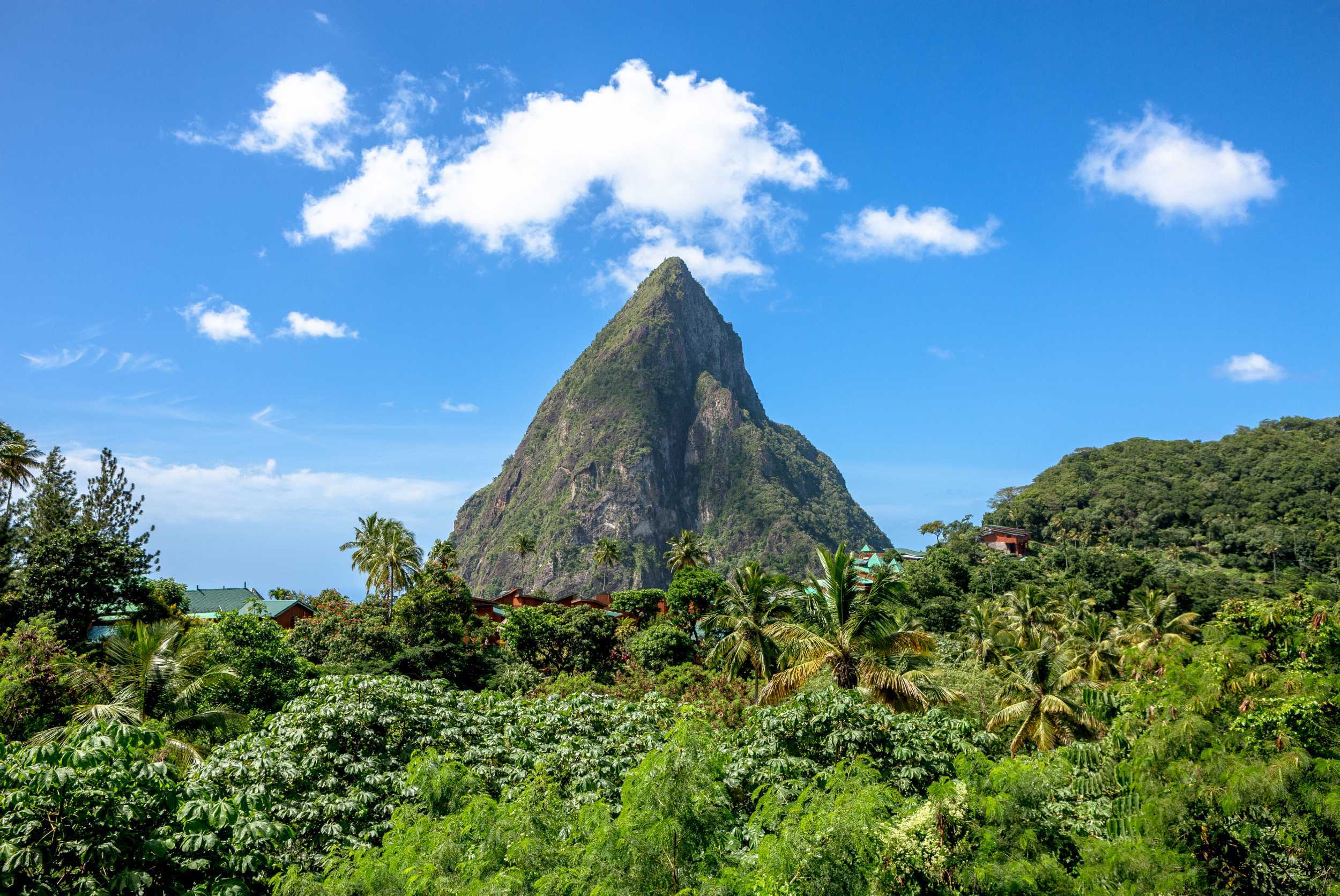 Gros Piton Hike & Luxury Catamaran Experience- St. Lucia – photo 2 of 6