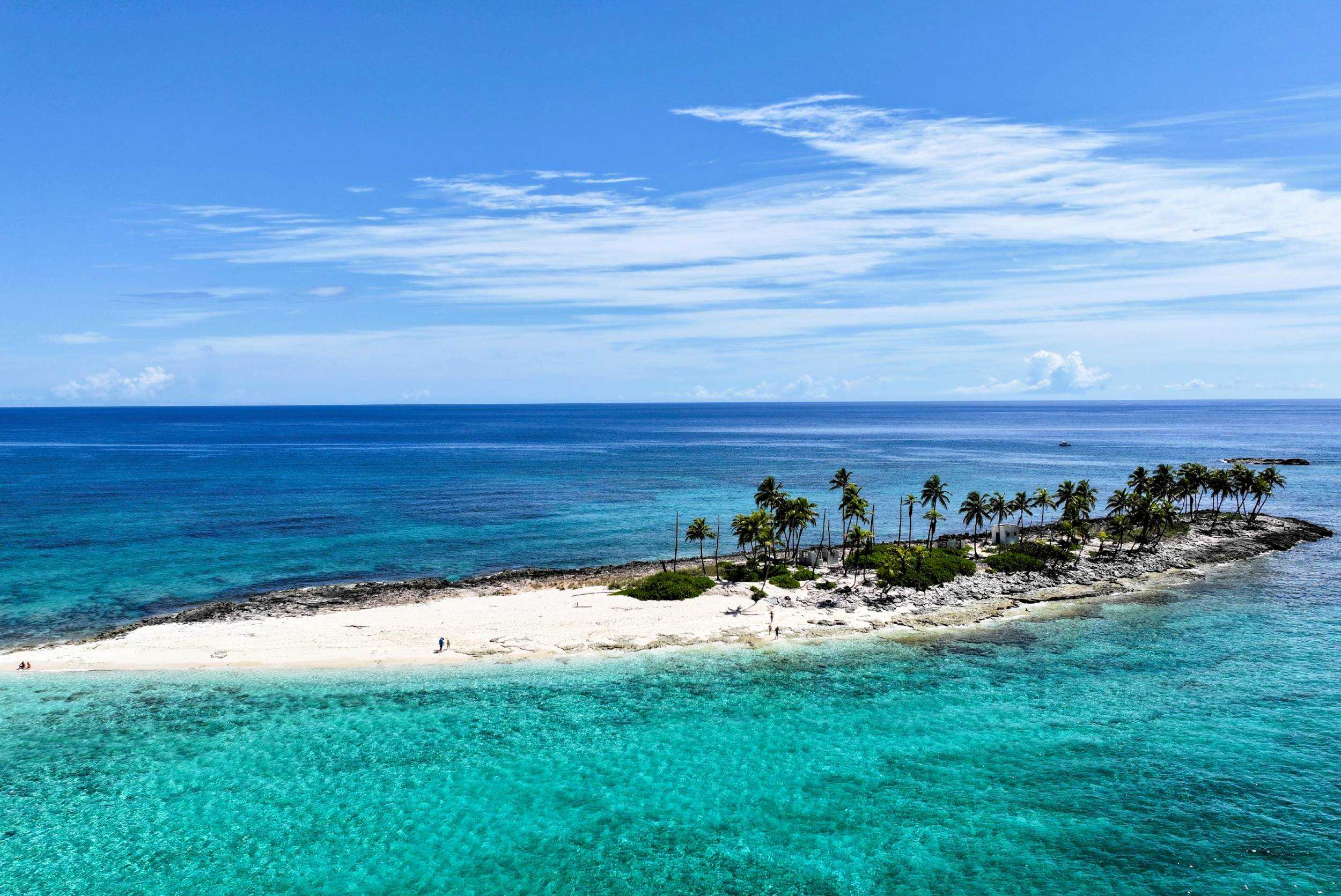 Private Rose Island Pig Interaction & Snorkeling Experience- 41ft Jalapeno-4 hrs (1- 15pax) – photo 1 of 6